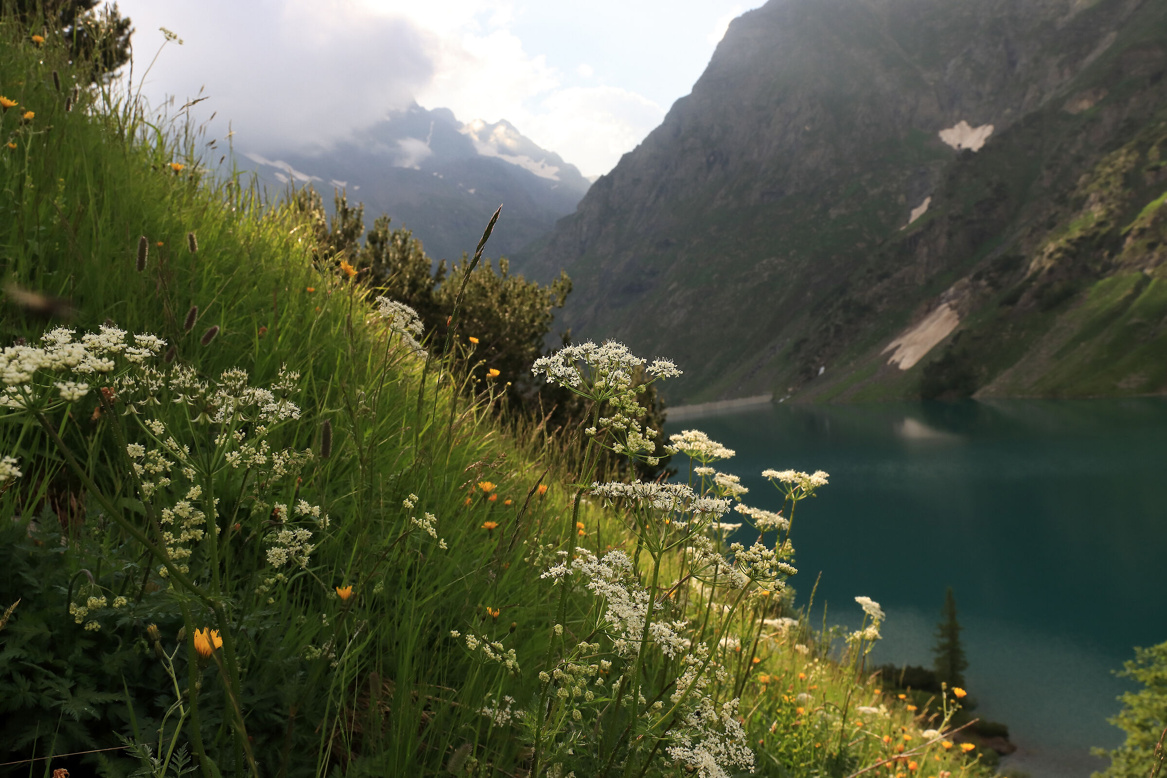 in the Barbellino basin