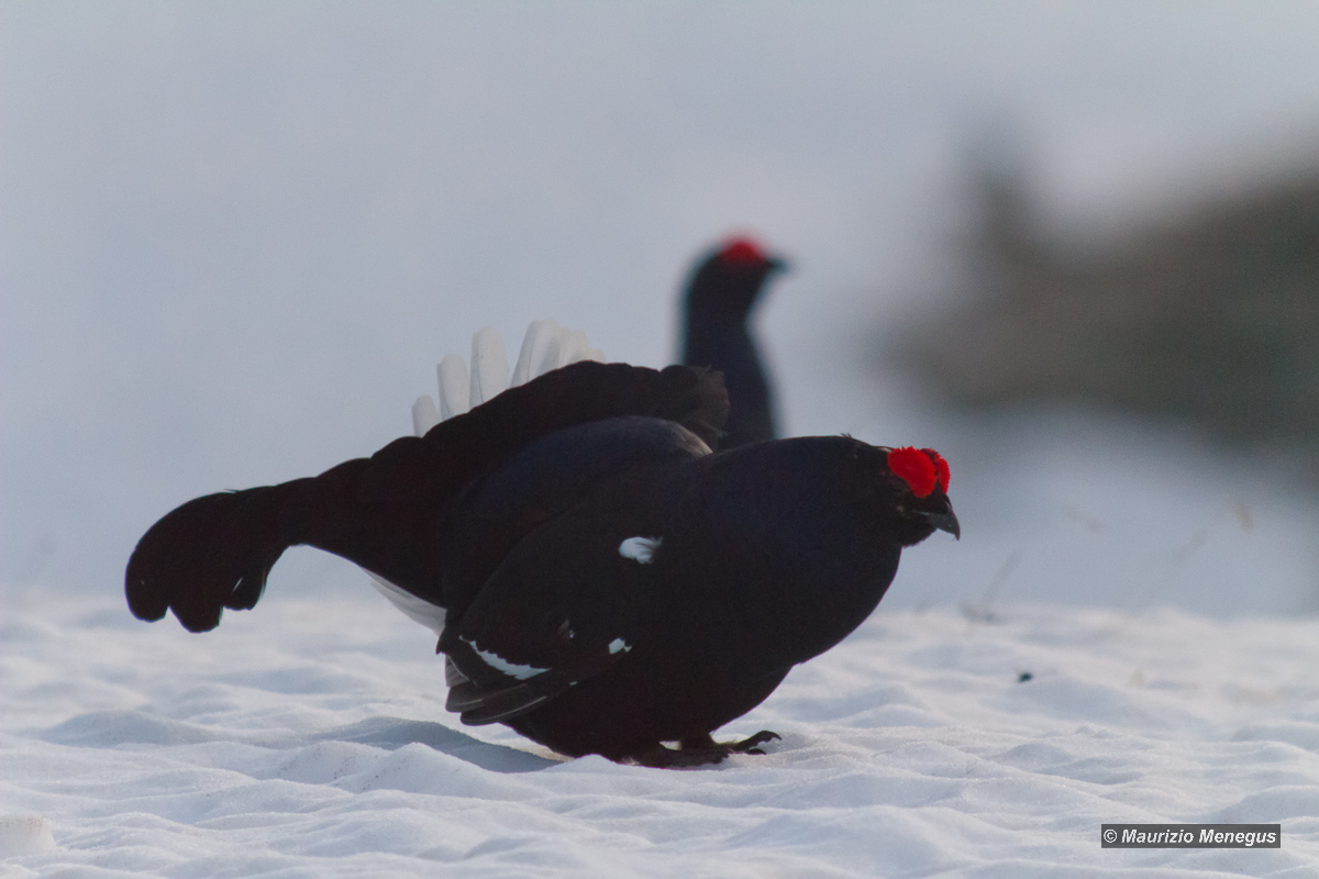 Ognuno per la sua strada....