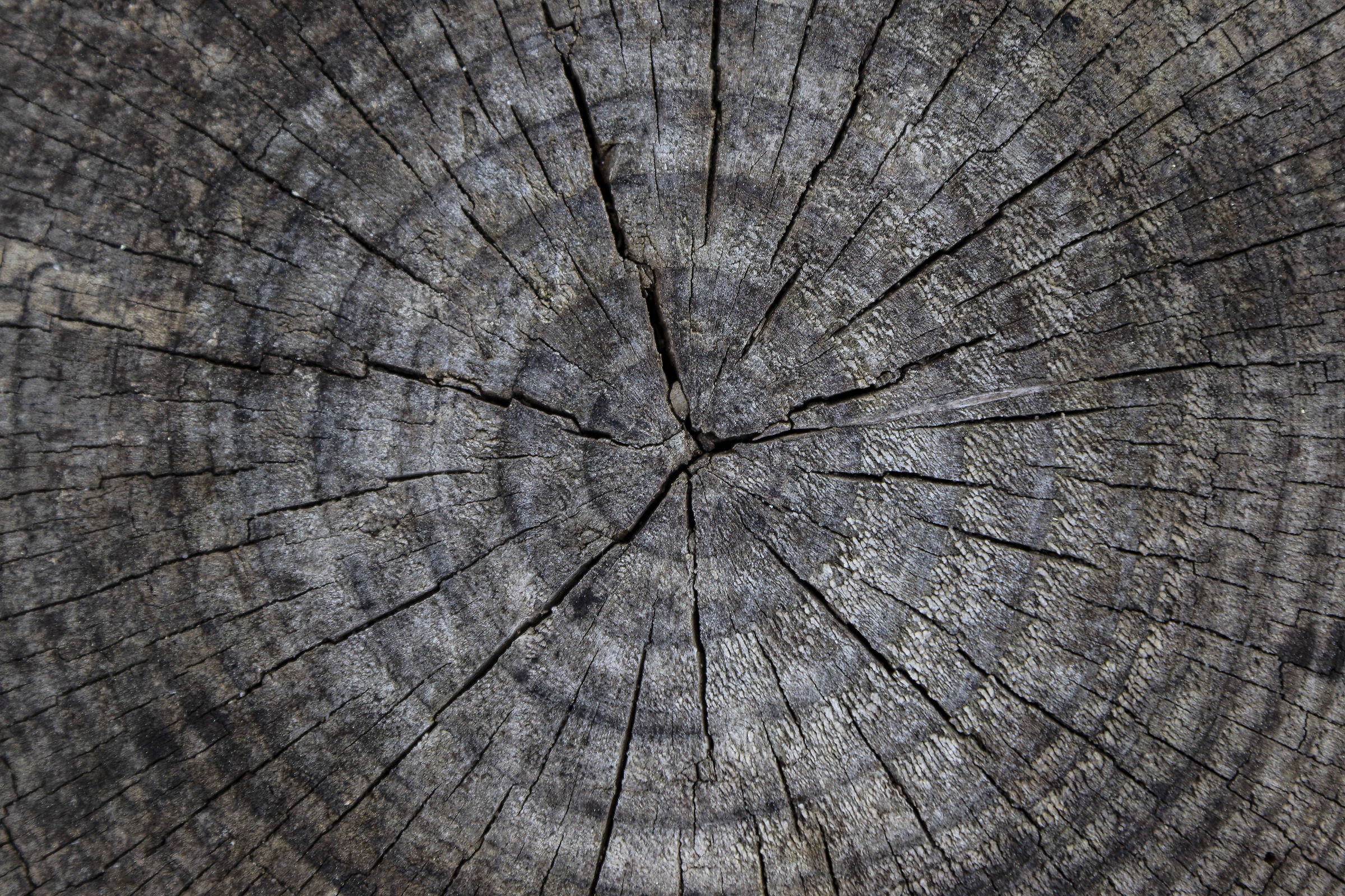 Natural Texture