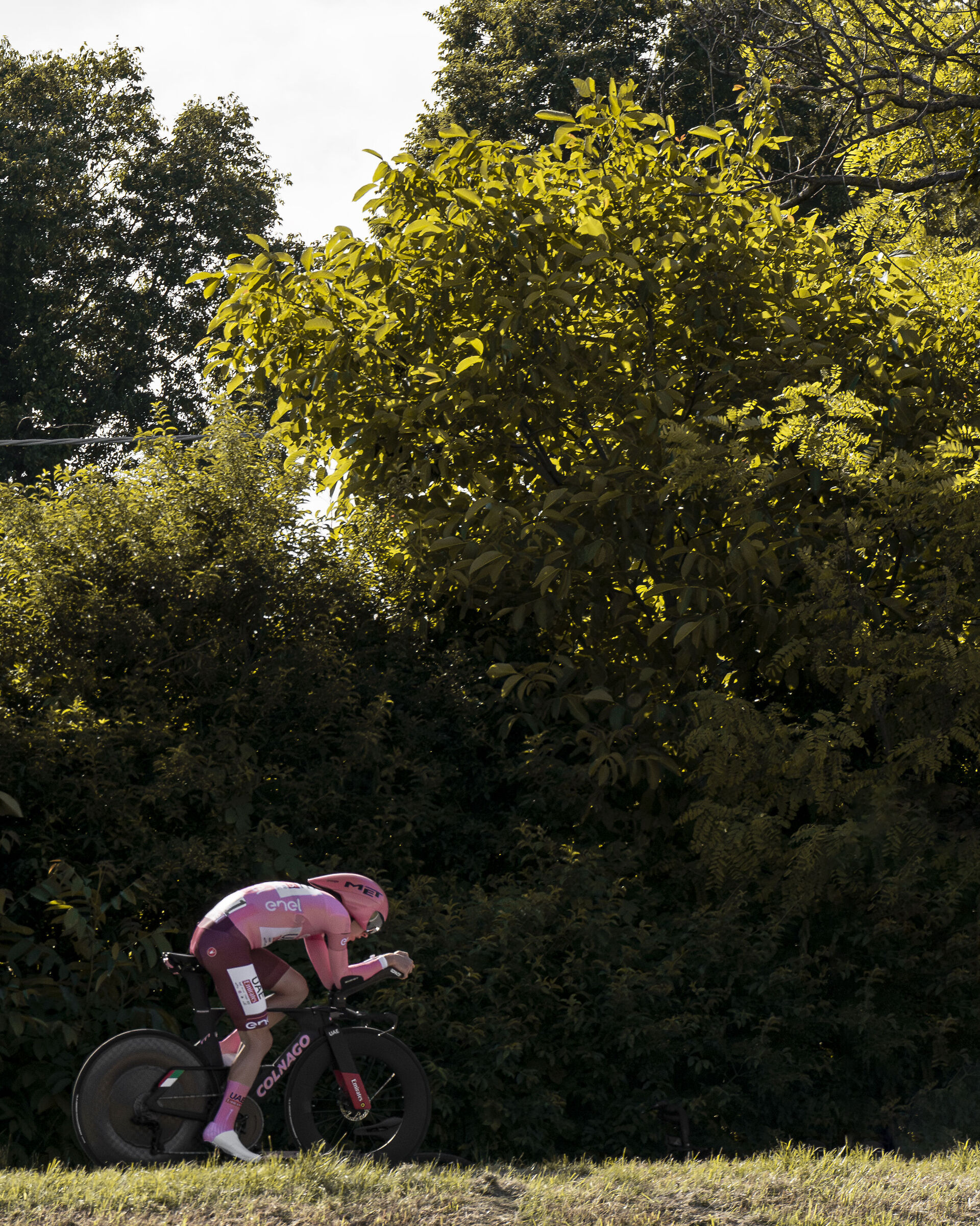 Tadej Pogacar - Giro D'Italia 2024