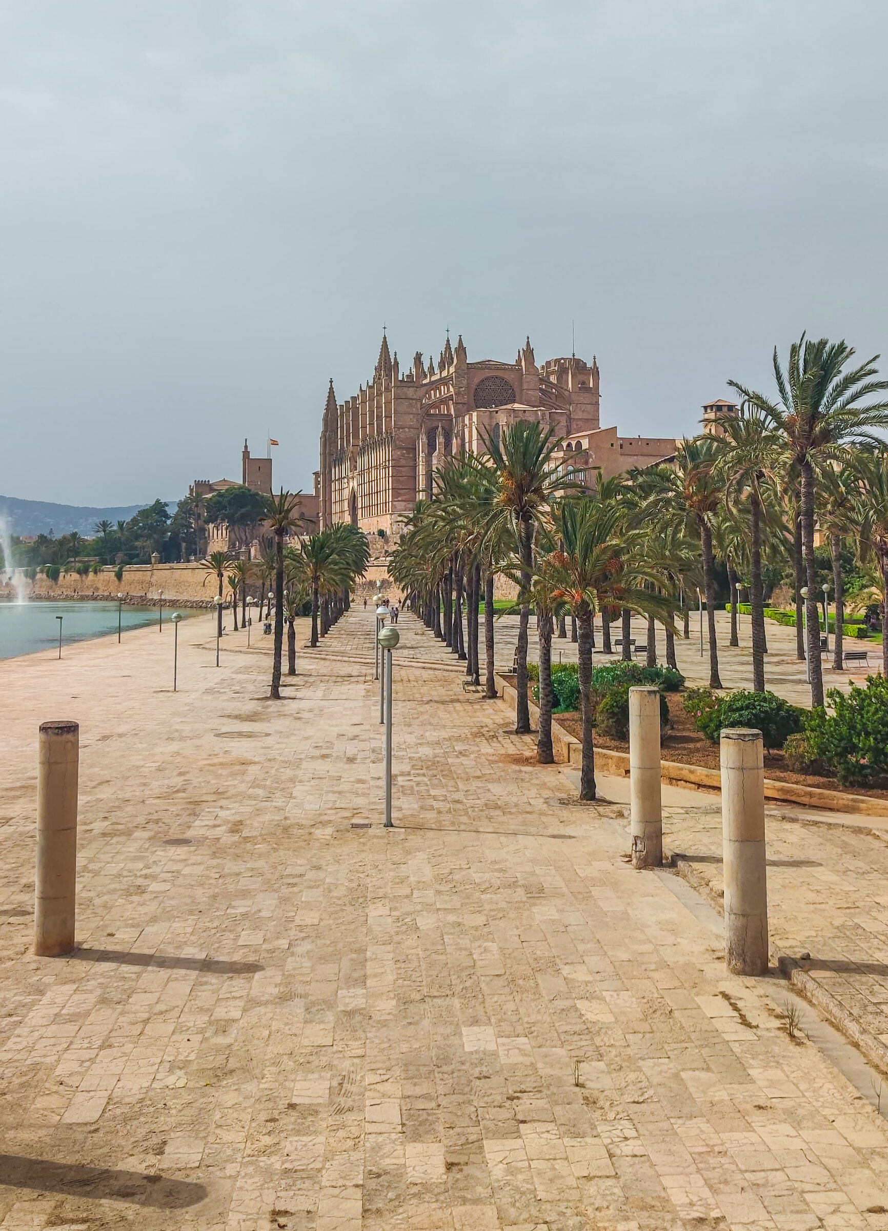 Cathedral of Santa Maria de Mallorca