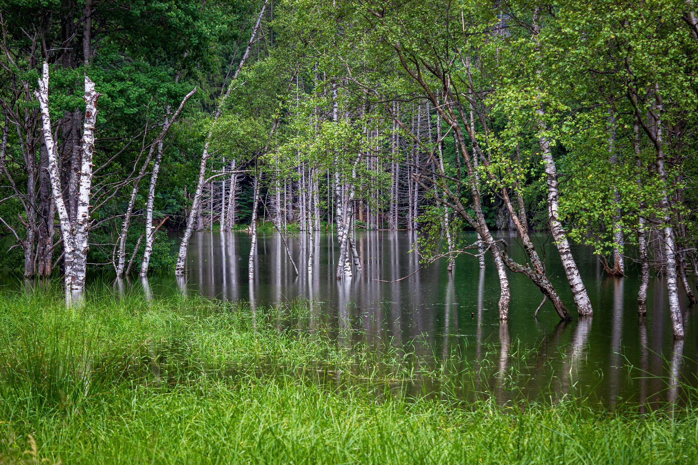Riflessi al Lago Antillone.