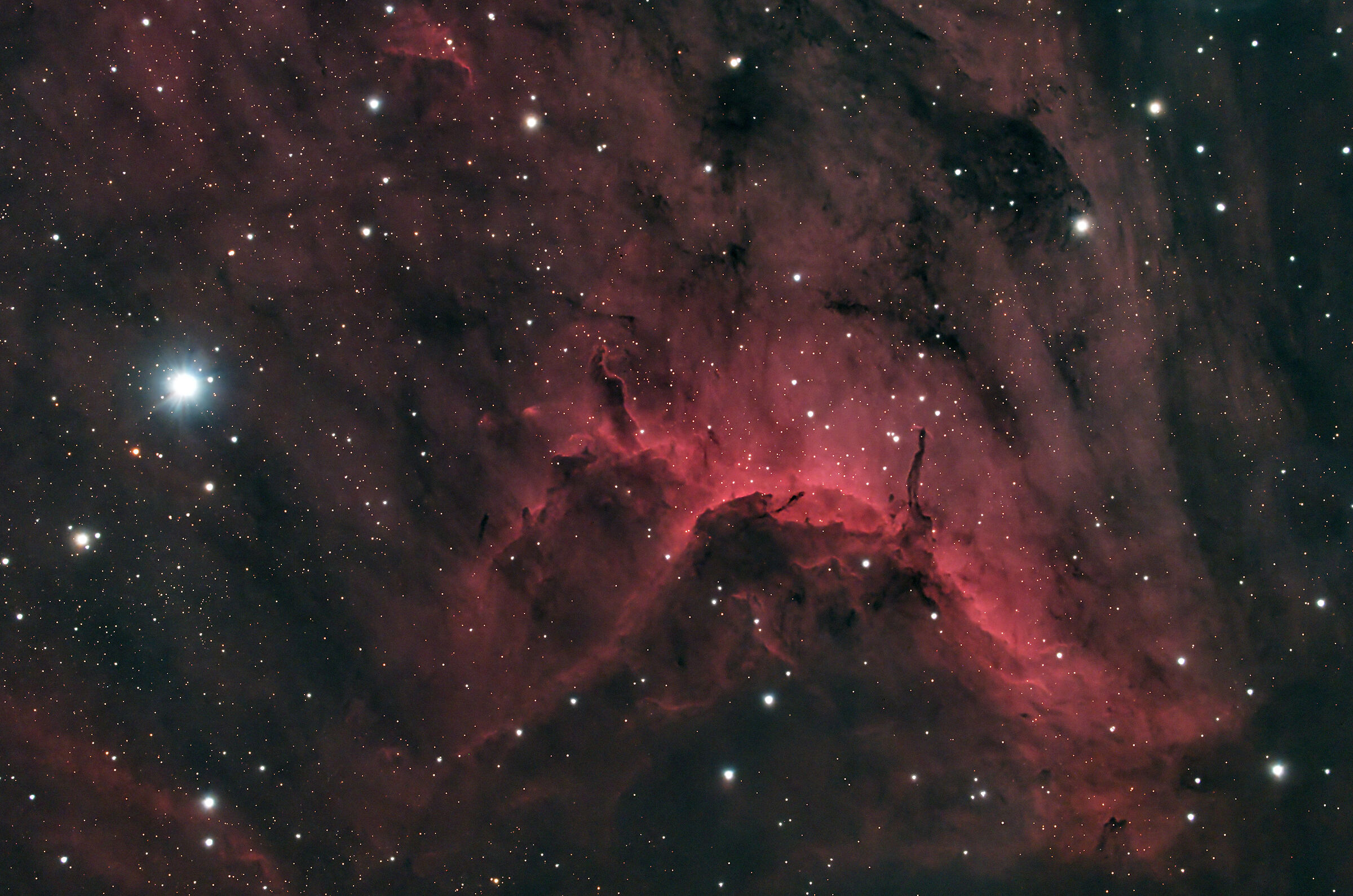Pelican Nebula nella costellazione del Cigno