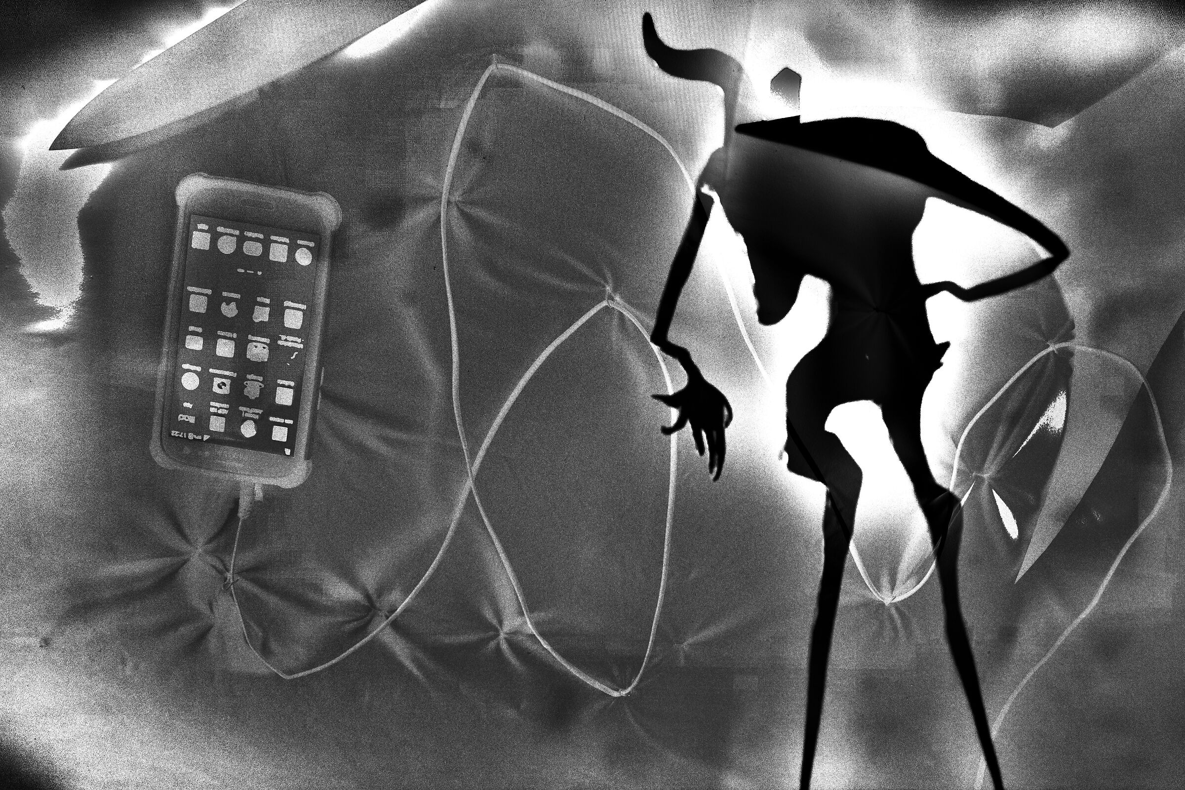 il labirinto della rete