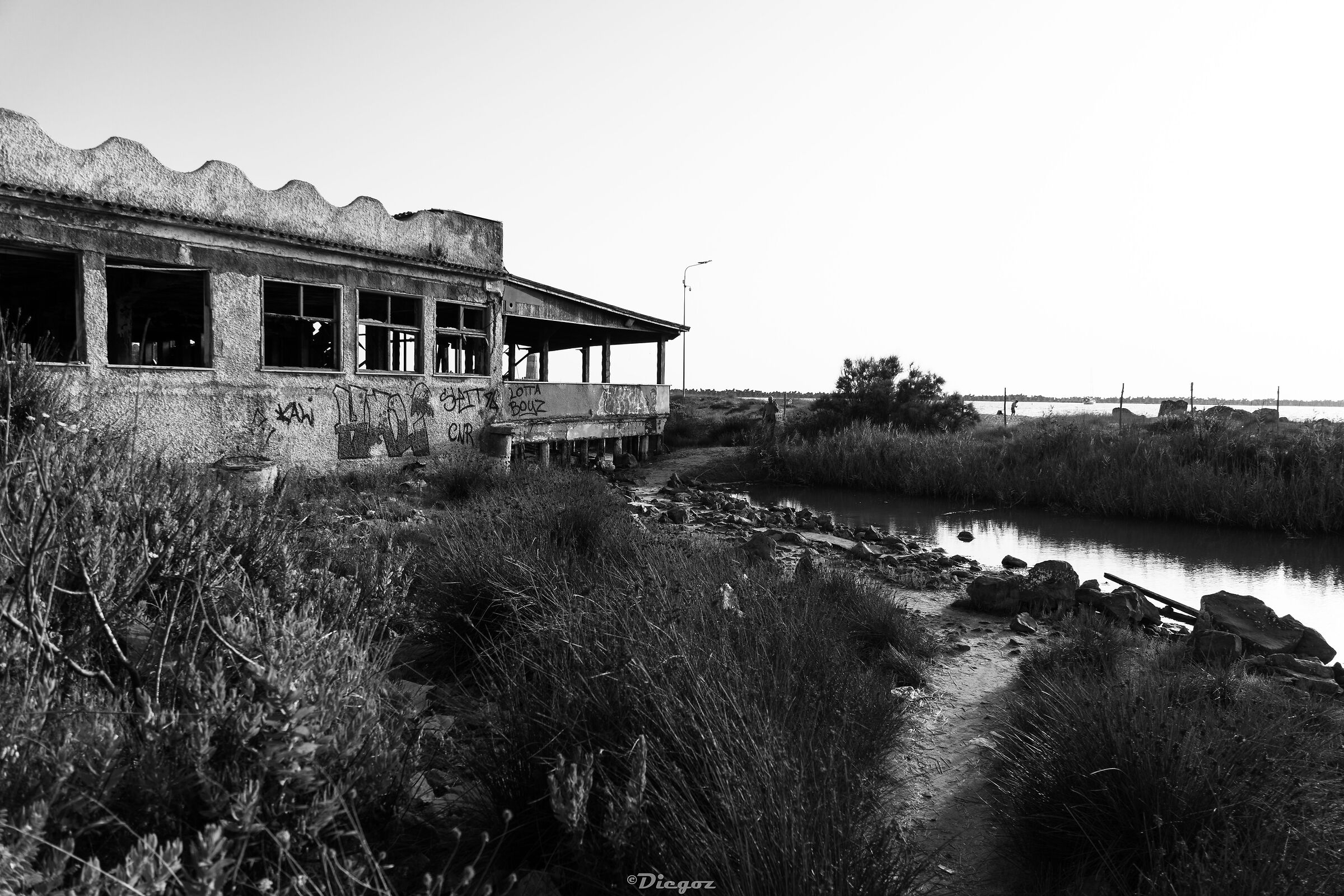 Untitled Photo