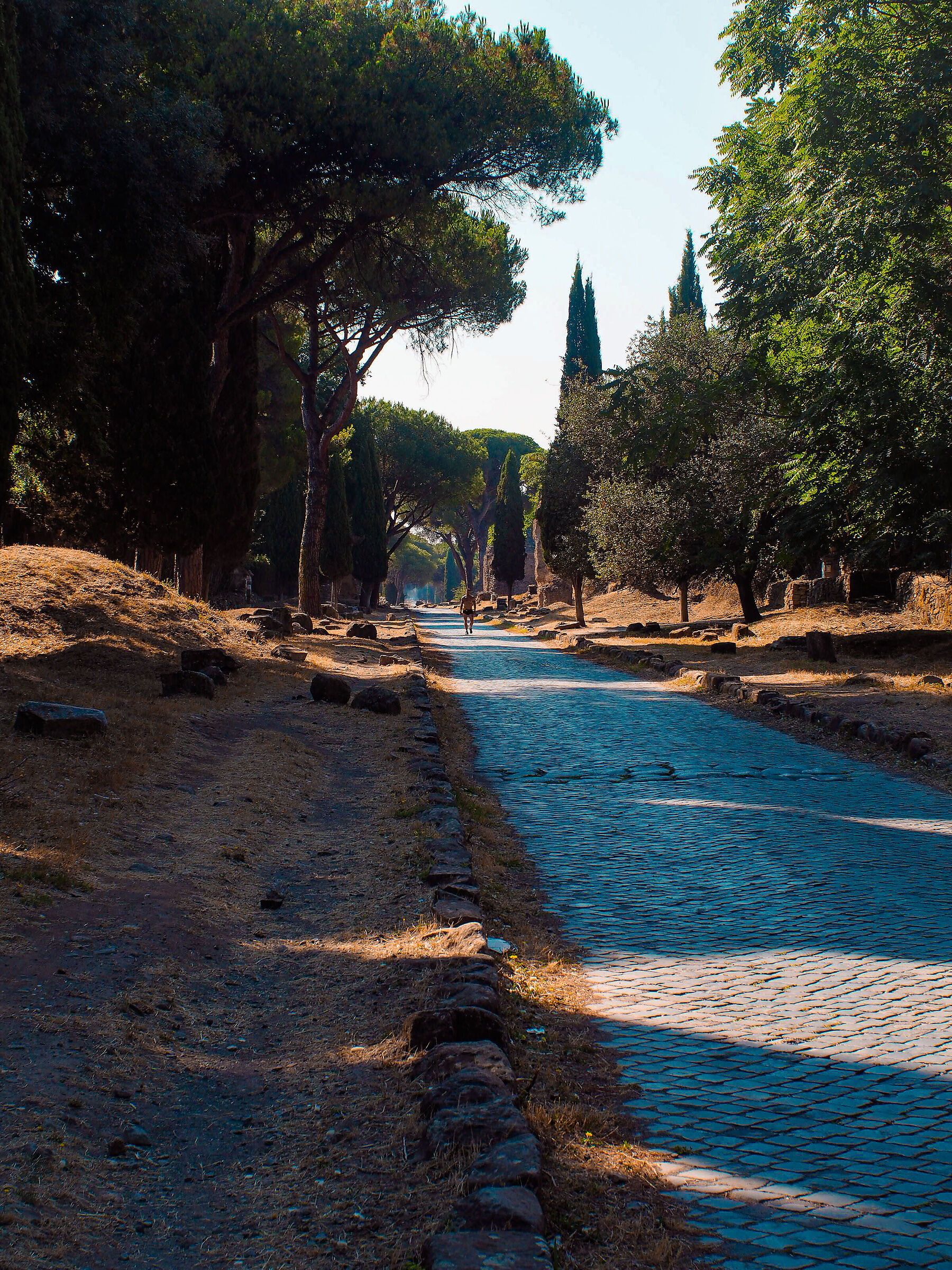 Regina Viarum Via Appia Antica