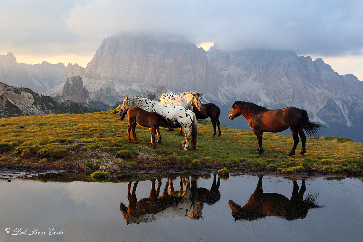 Dolomite context
