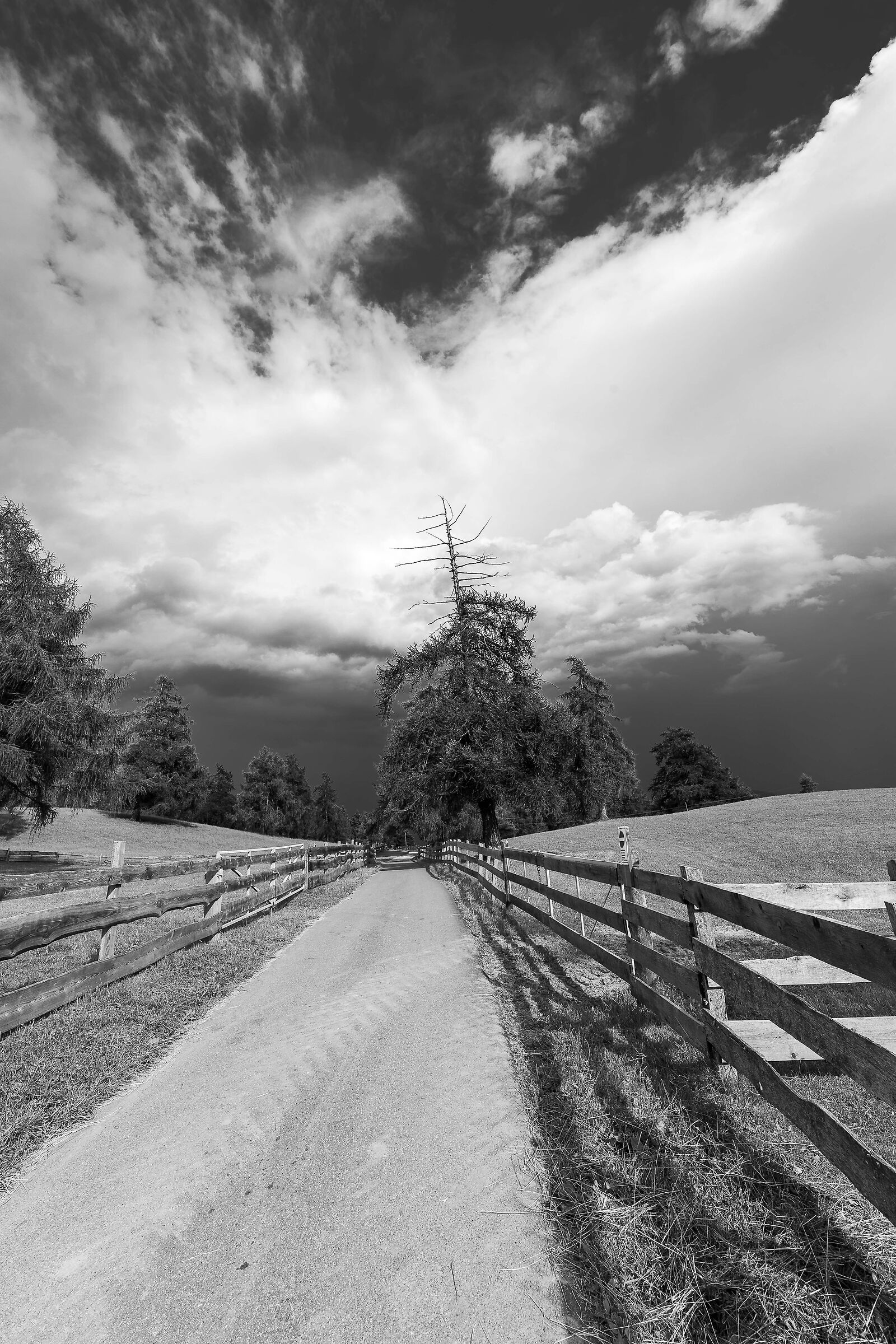 Wuthering Heights