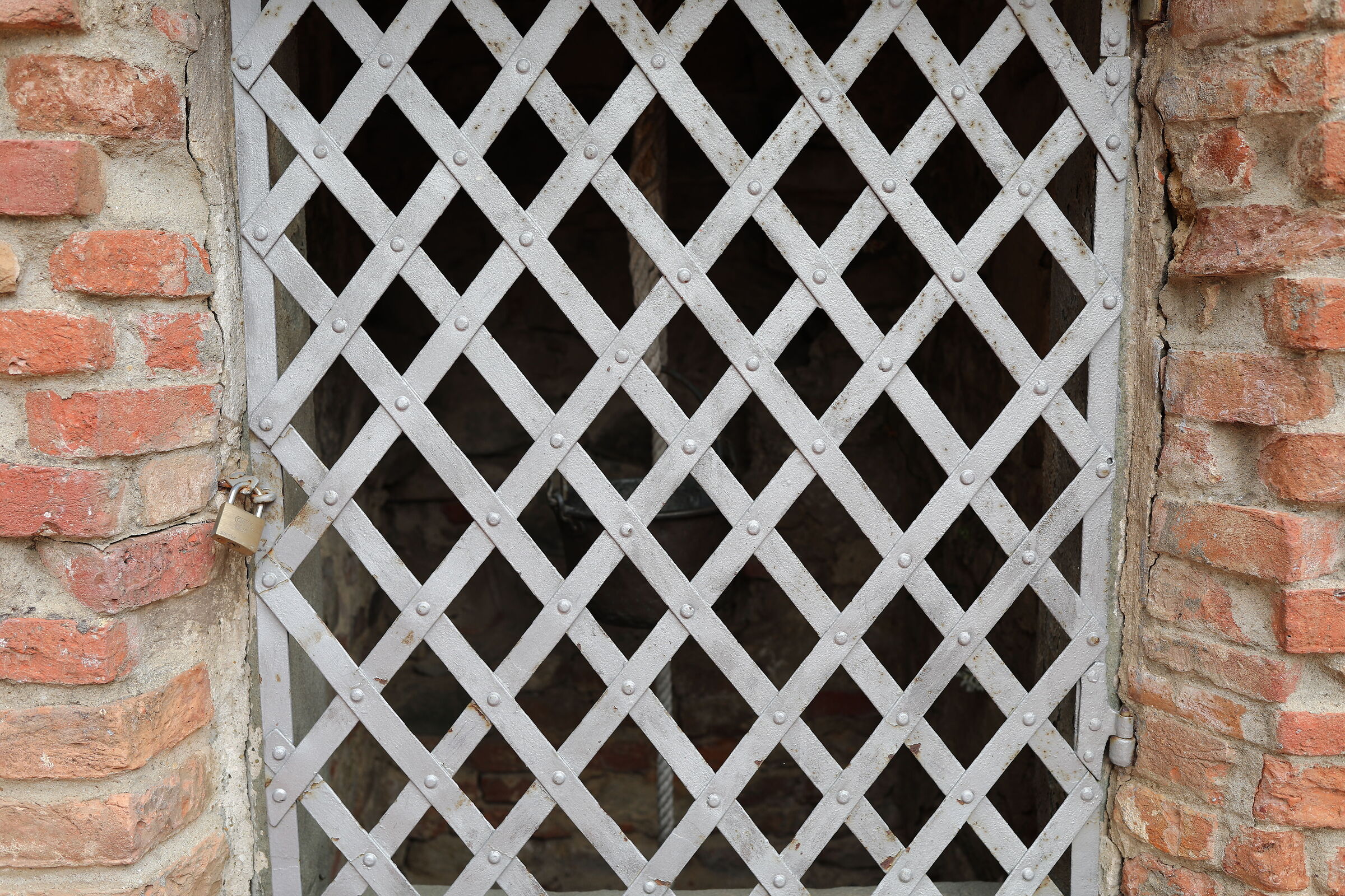 Canon 5 D IV, 35, F.2 IS USM