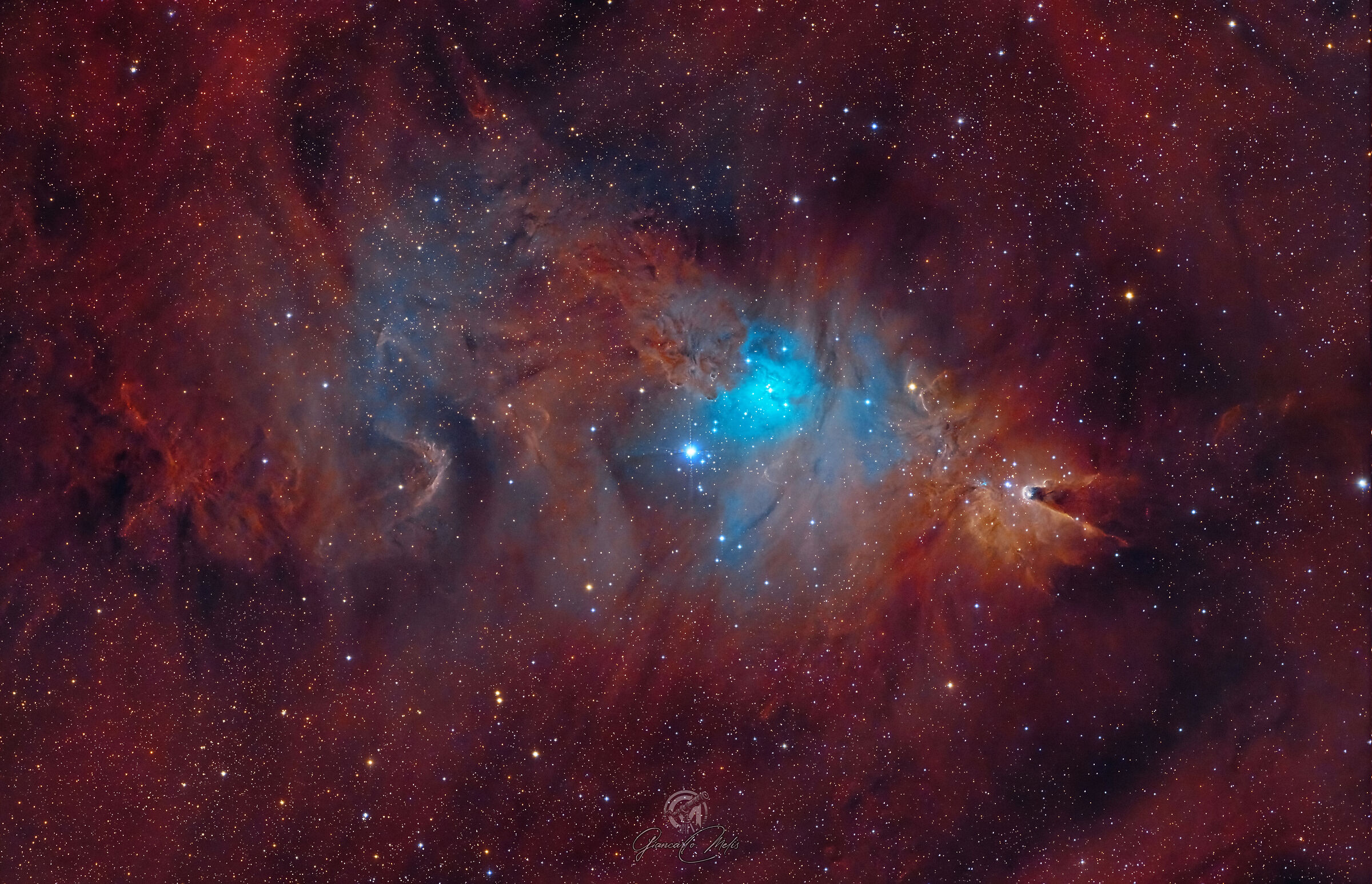 ngc2264