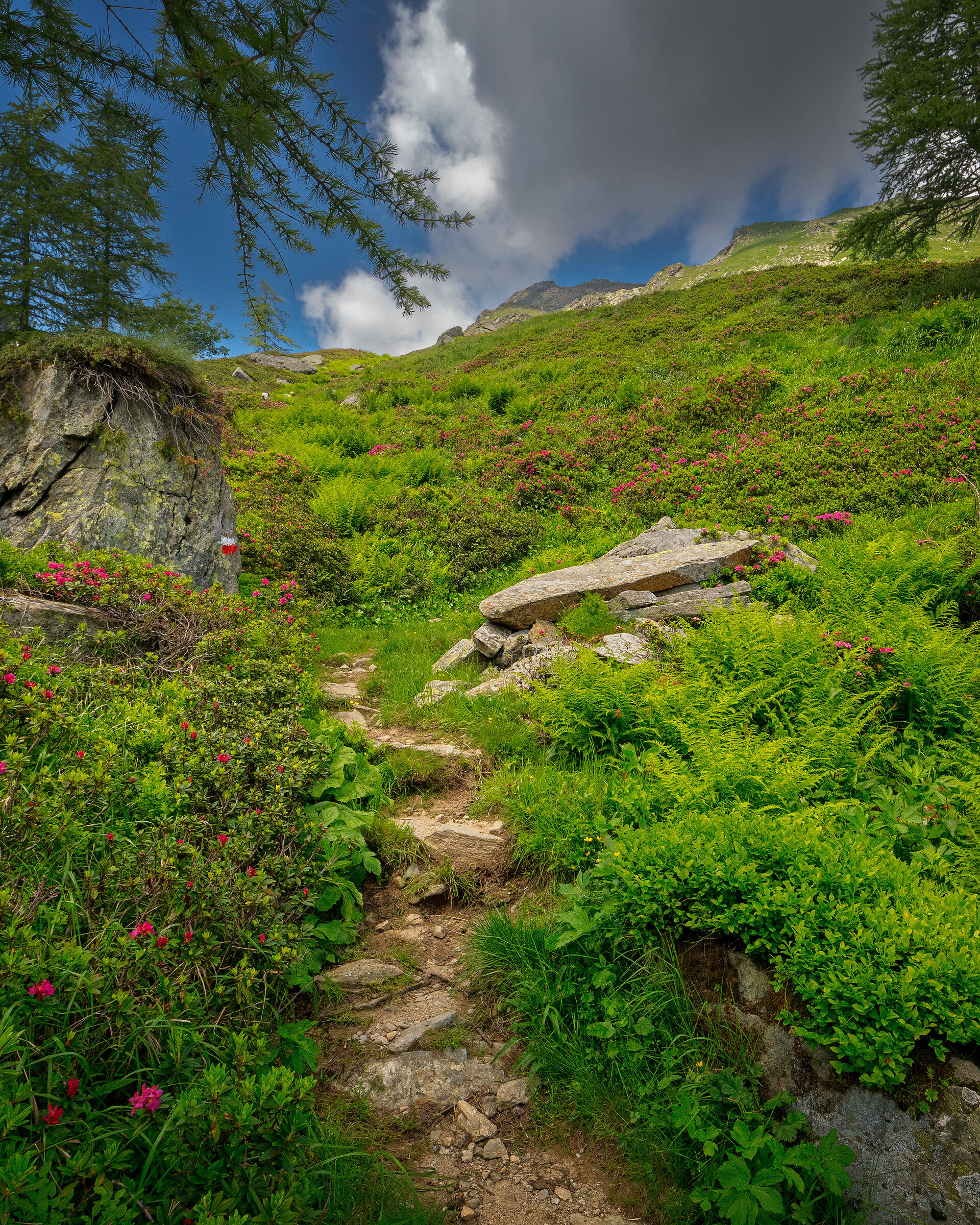 Going up to Val Sermenza ...