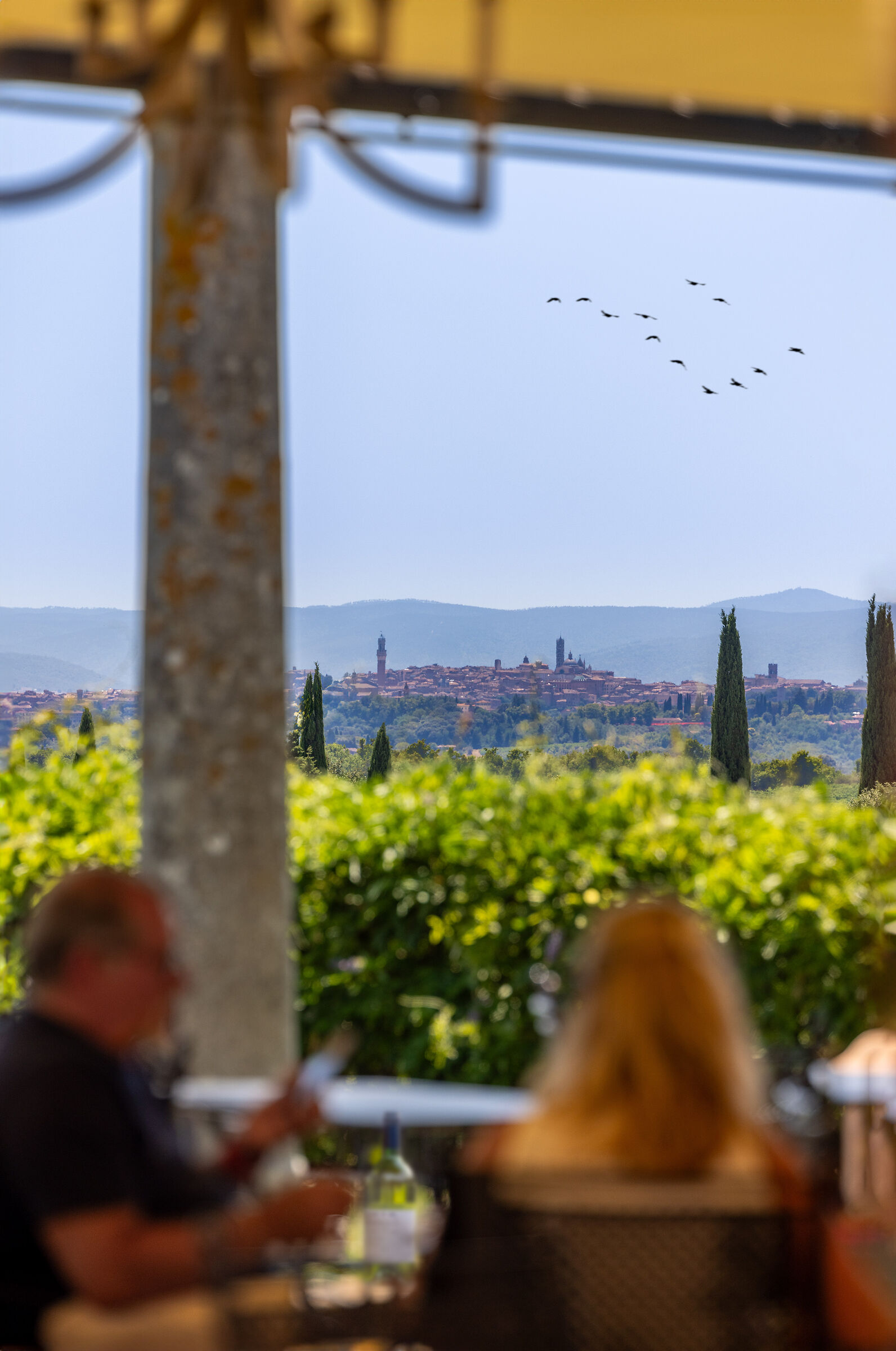 Un balcone verde su Siena
