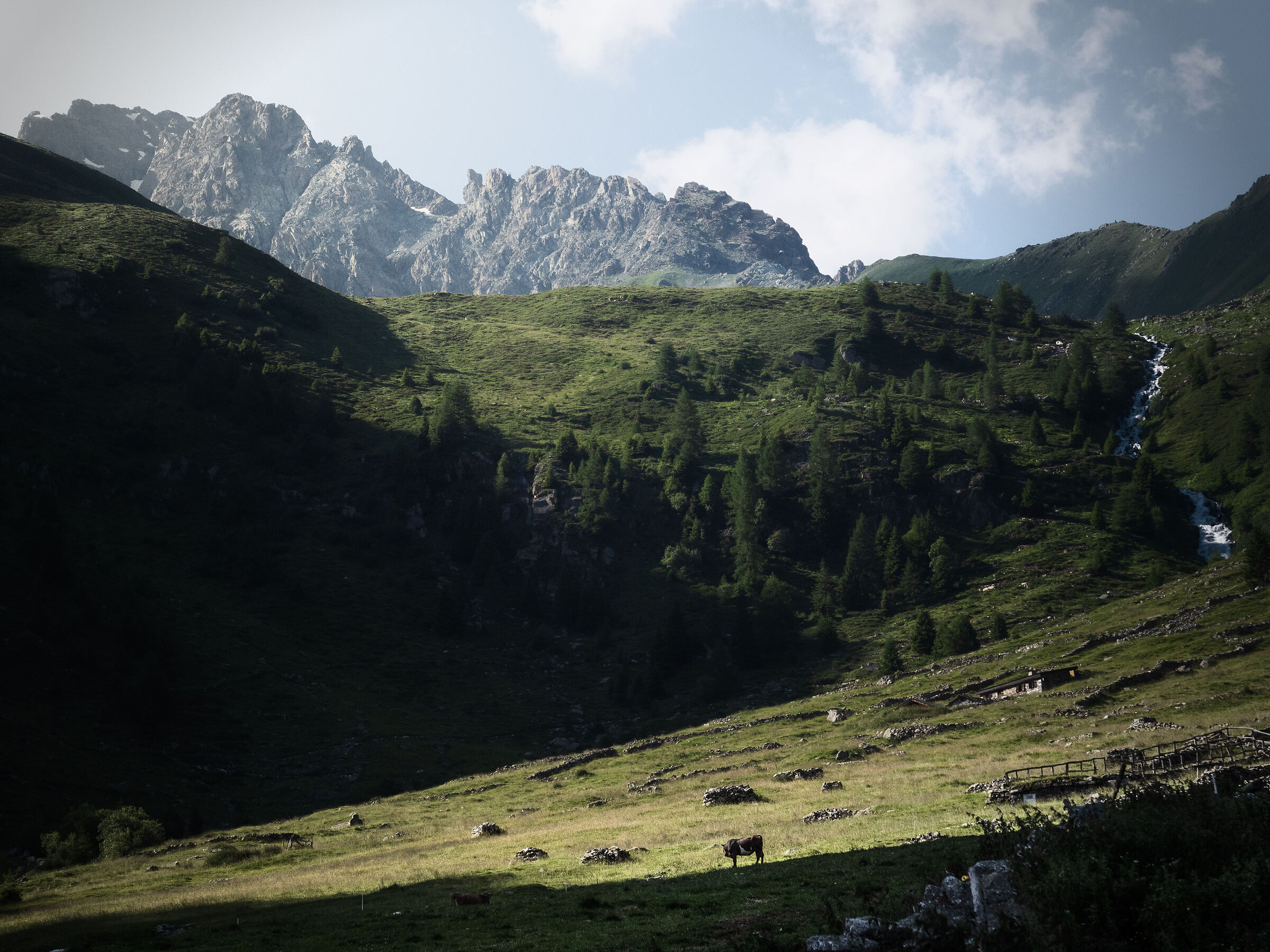 La sera sulle Alpi