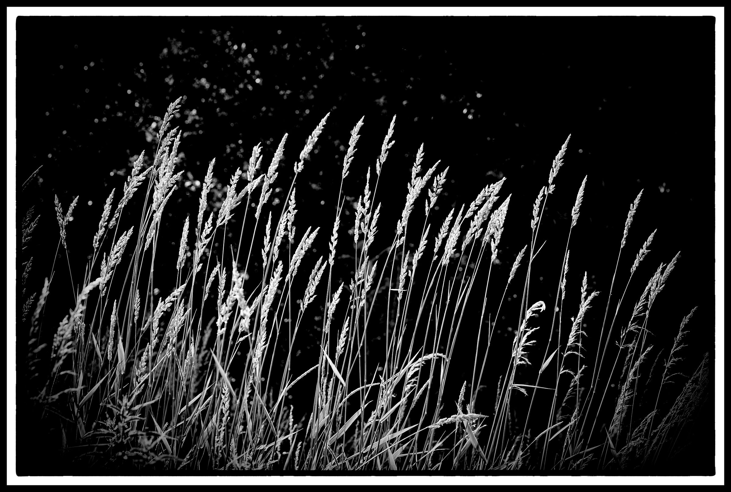 bianco e nero