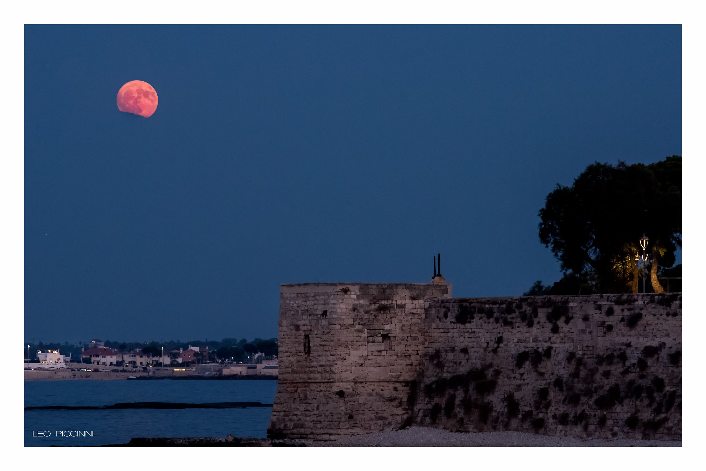 Full Deer Moon