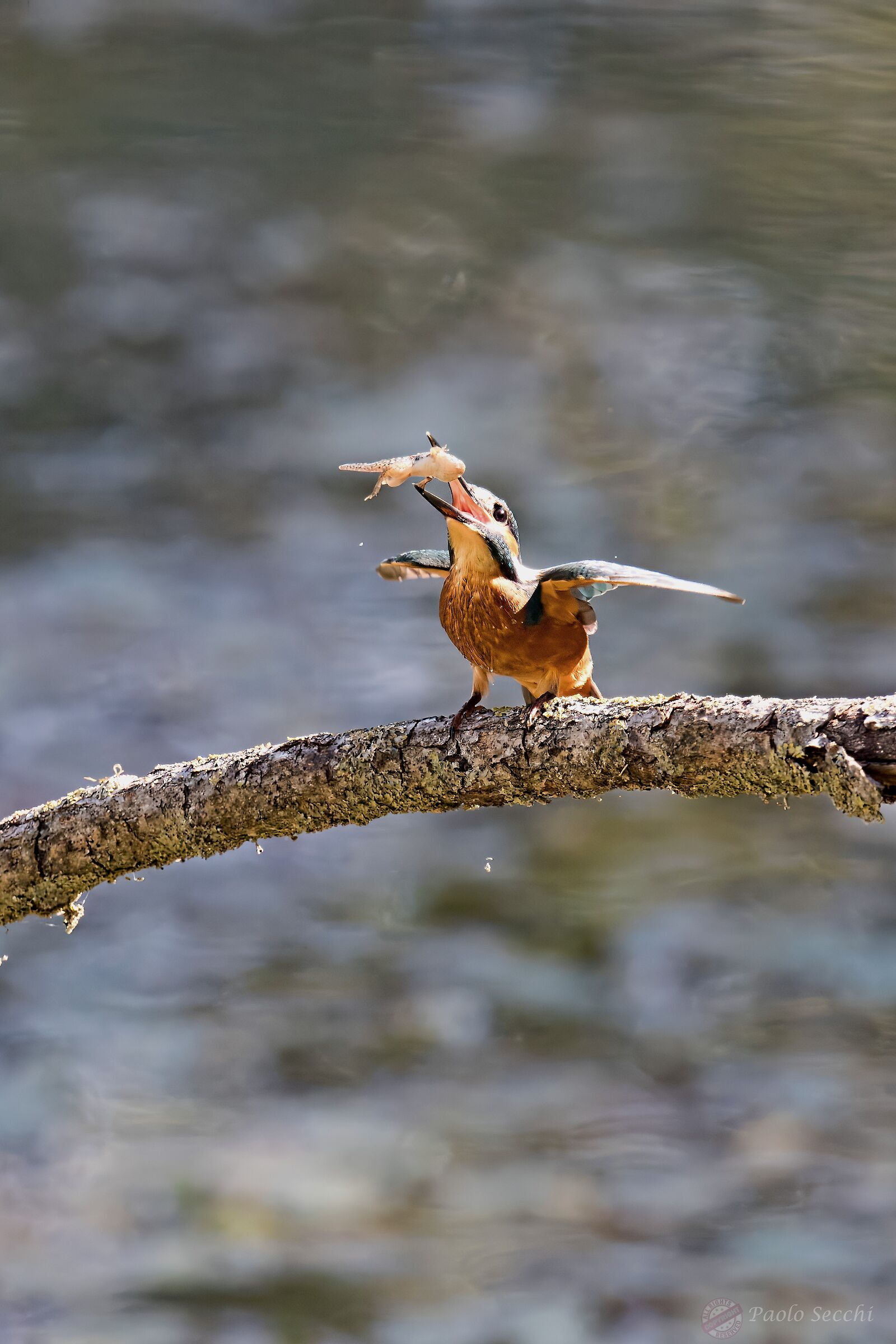 Snack against the sun