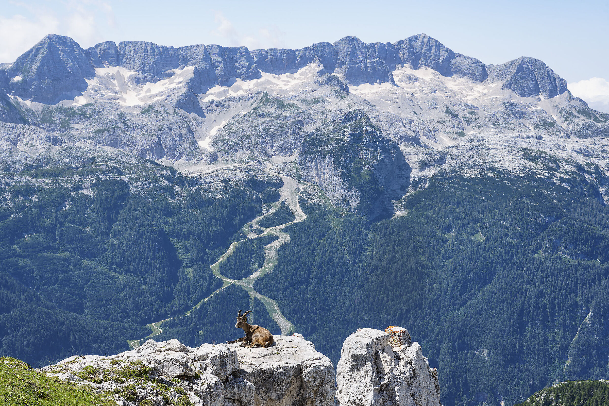 Qualcuno si gode il panorama