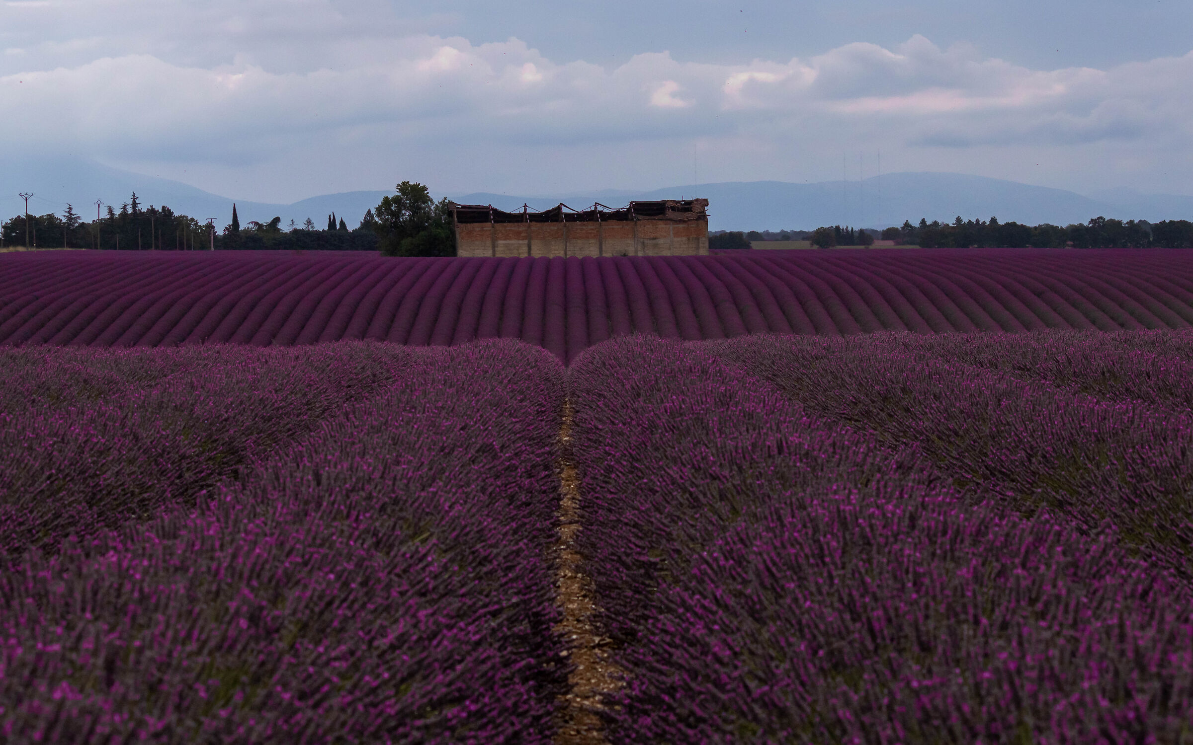 Valensole