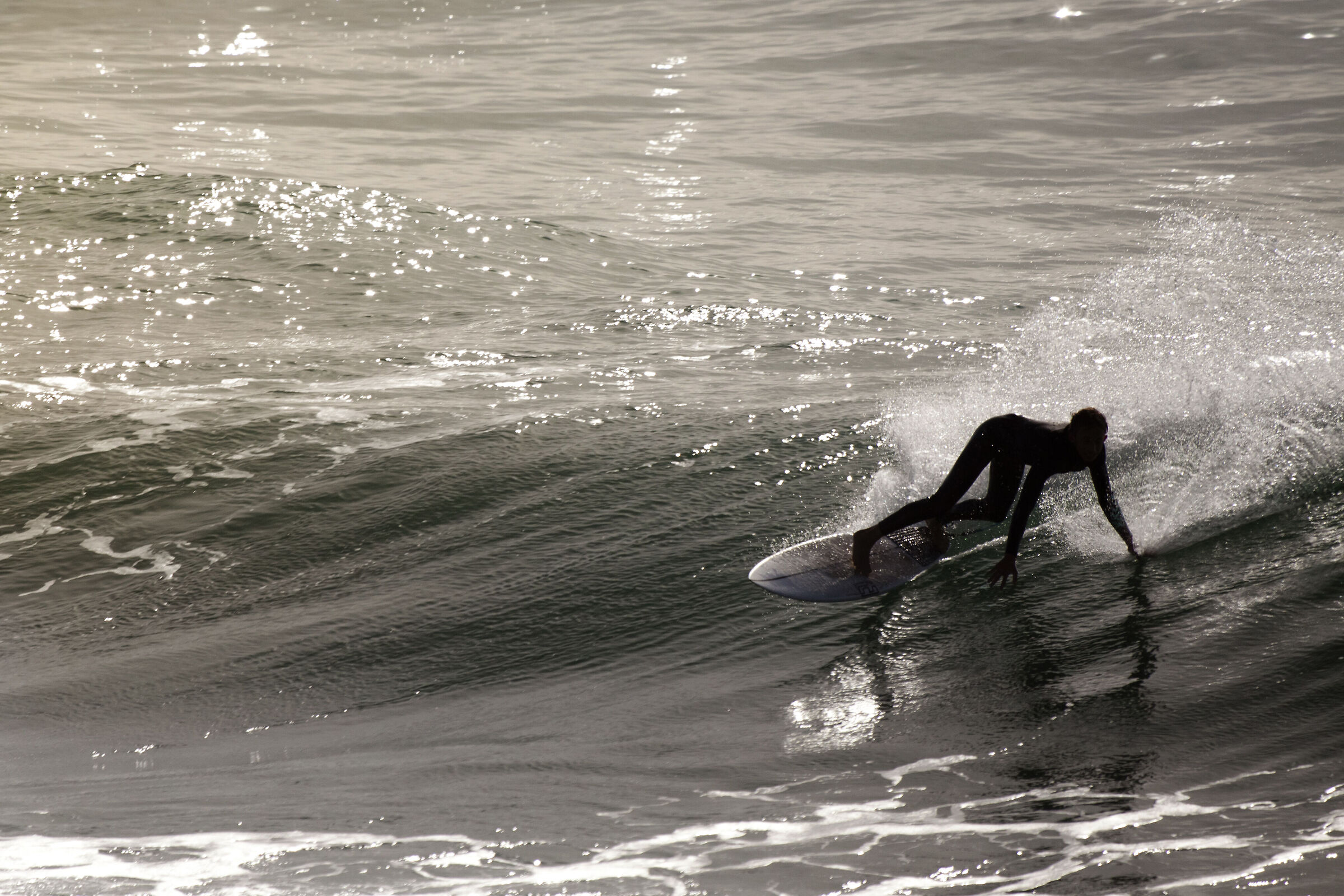 Surf all'alba
