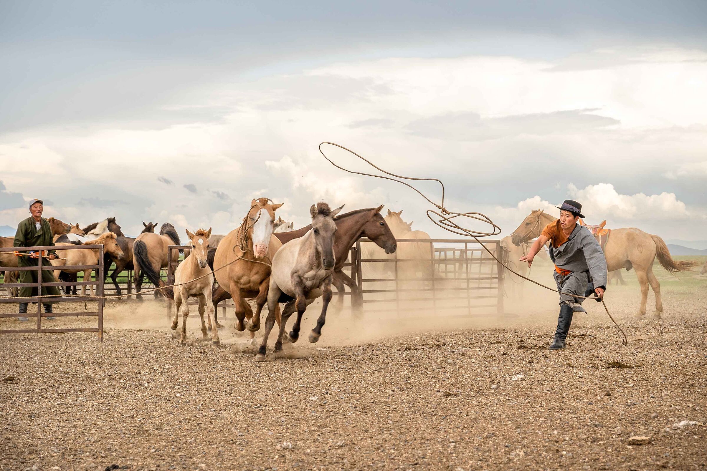 Horse Herders