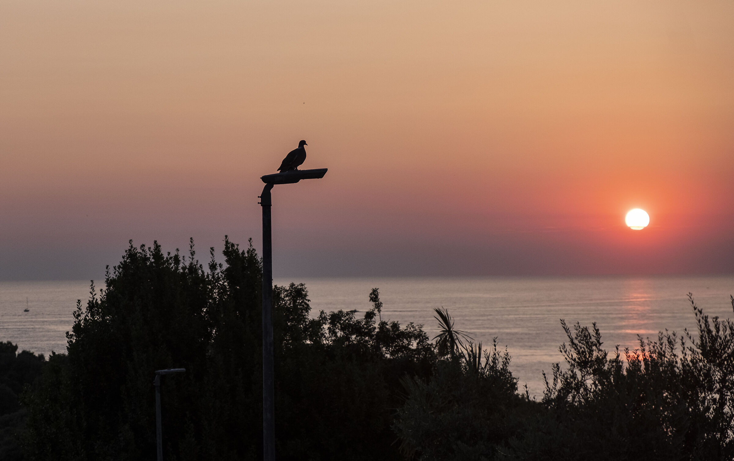 Tramonto a Vrsar