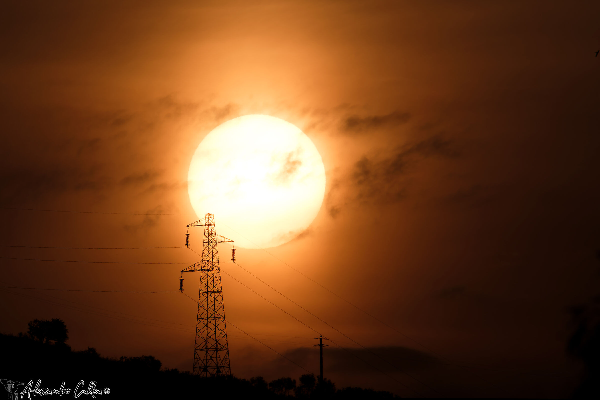 Che ne sarà di noi...