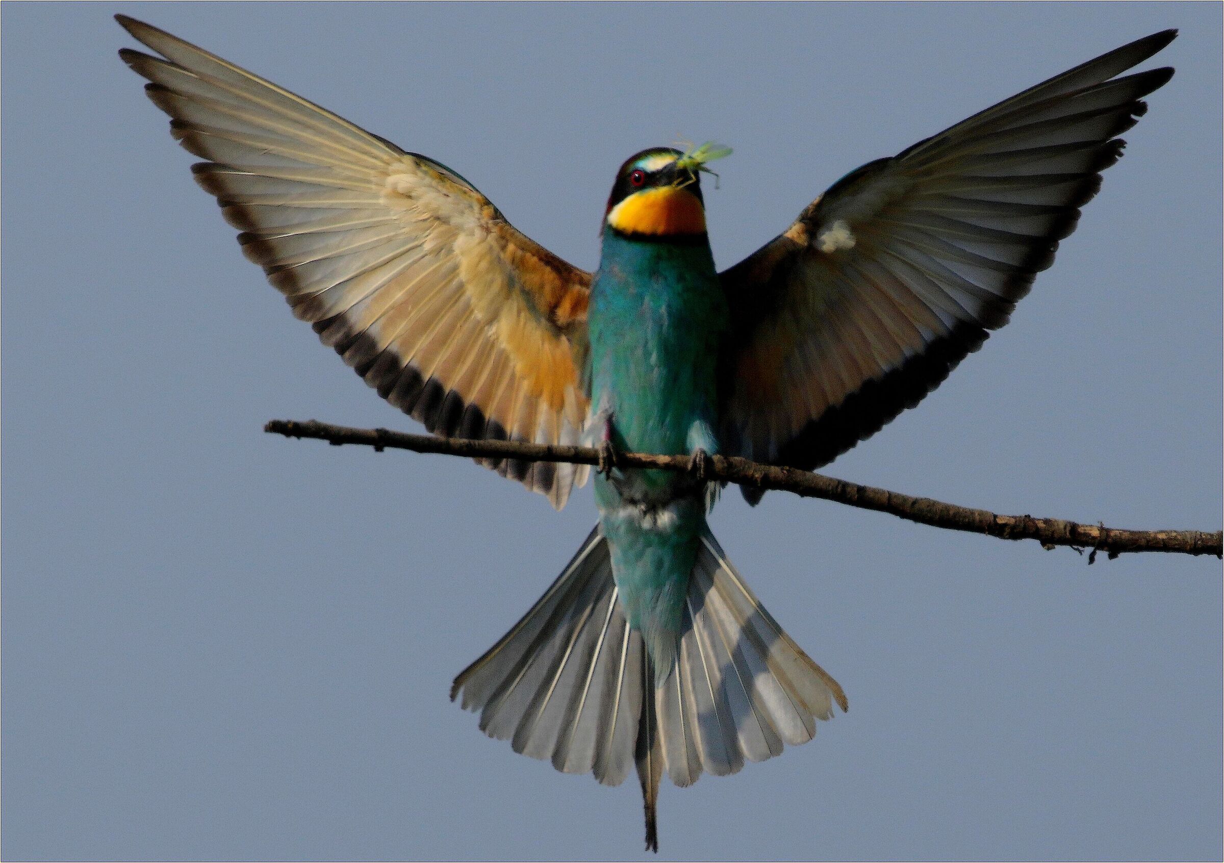 ''Hunting is not the max, but docking is super''