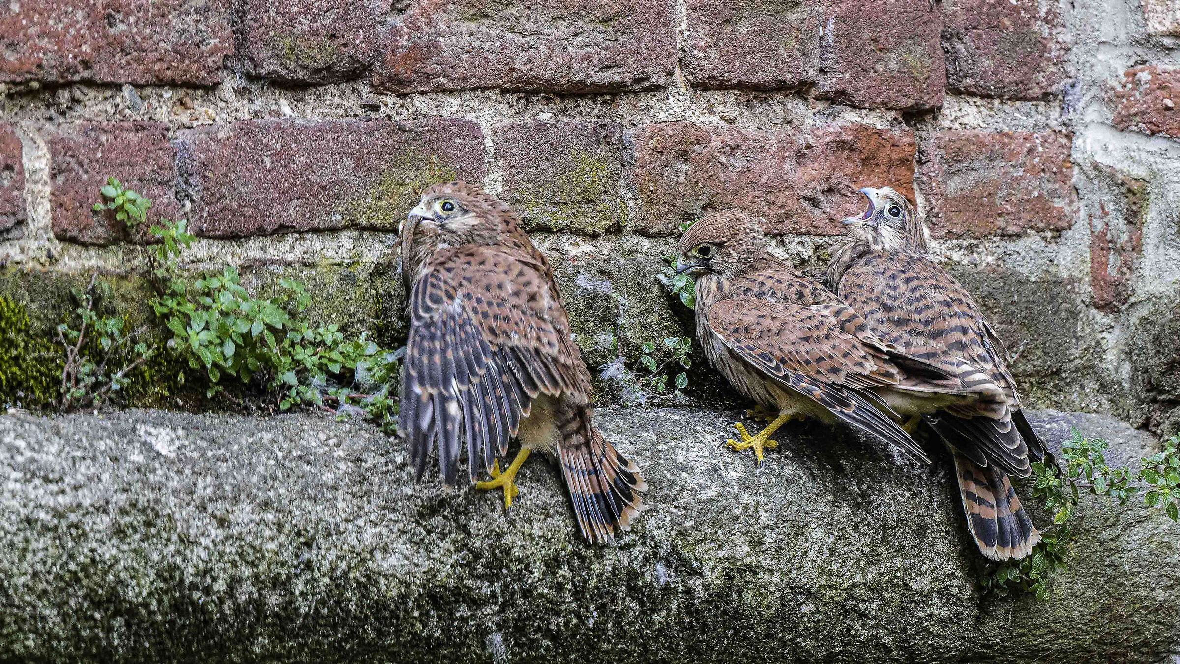 é lui il fortunato !!