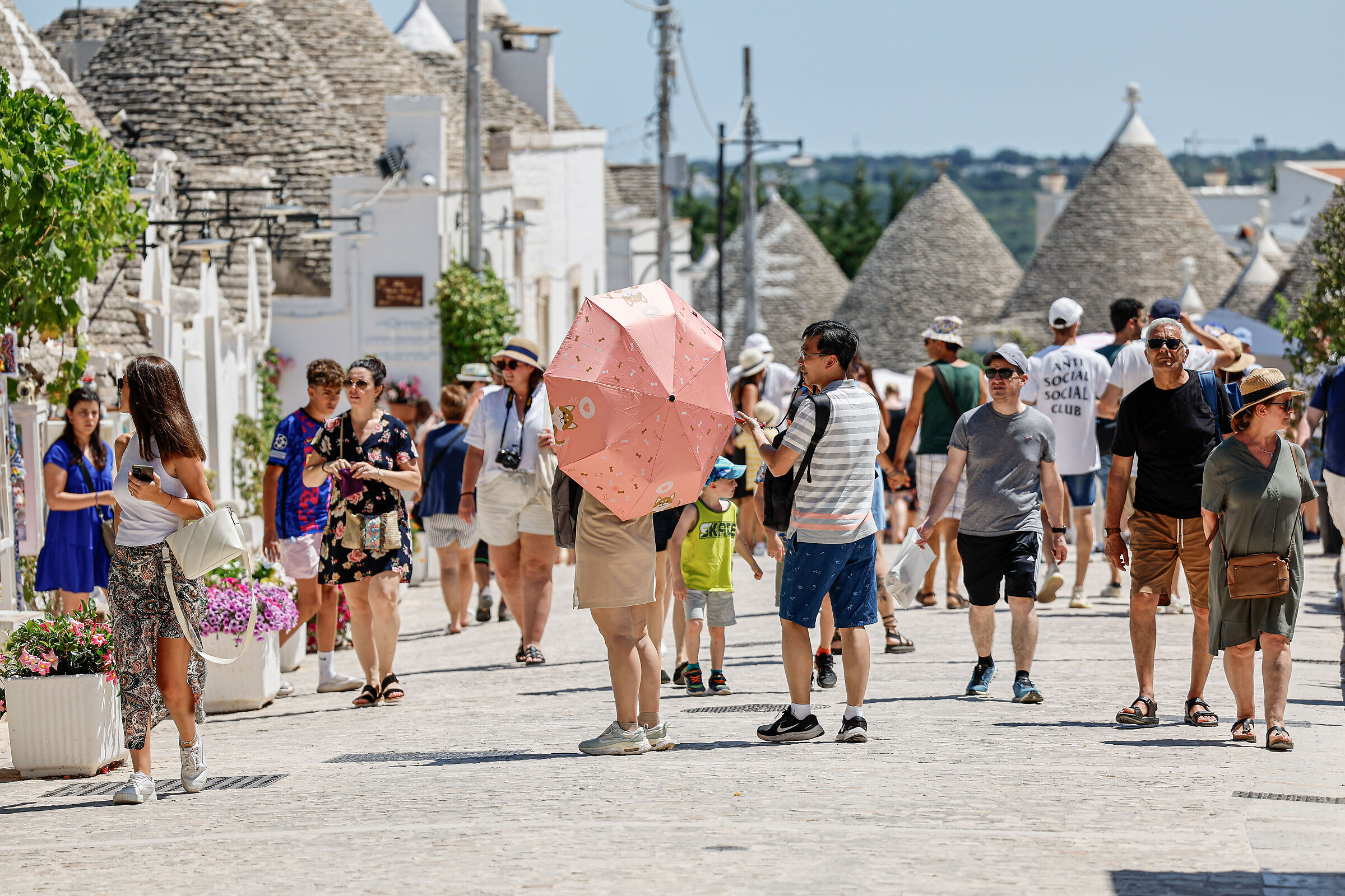 Under the sun of Alberobello