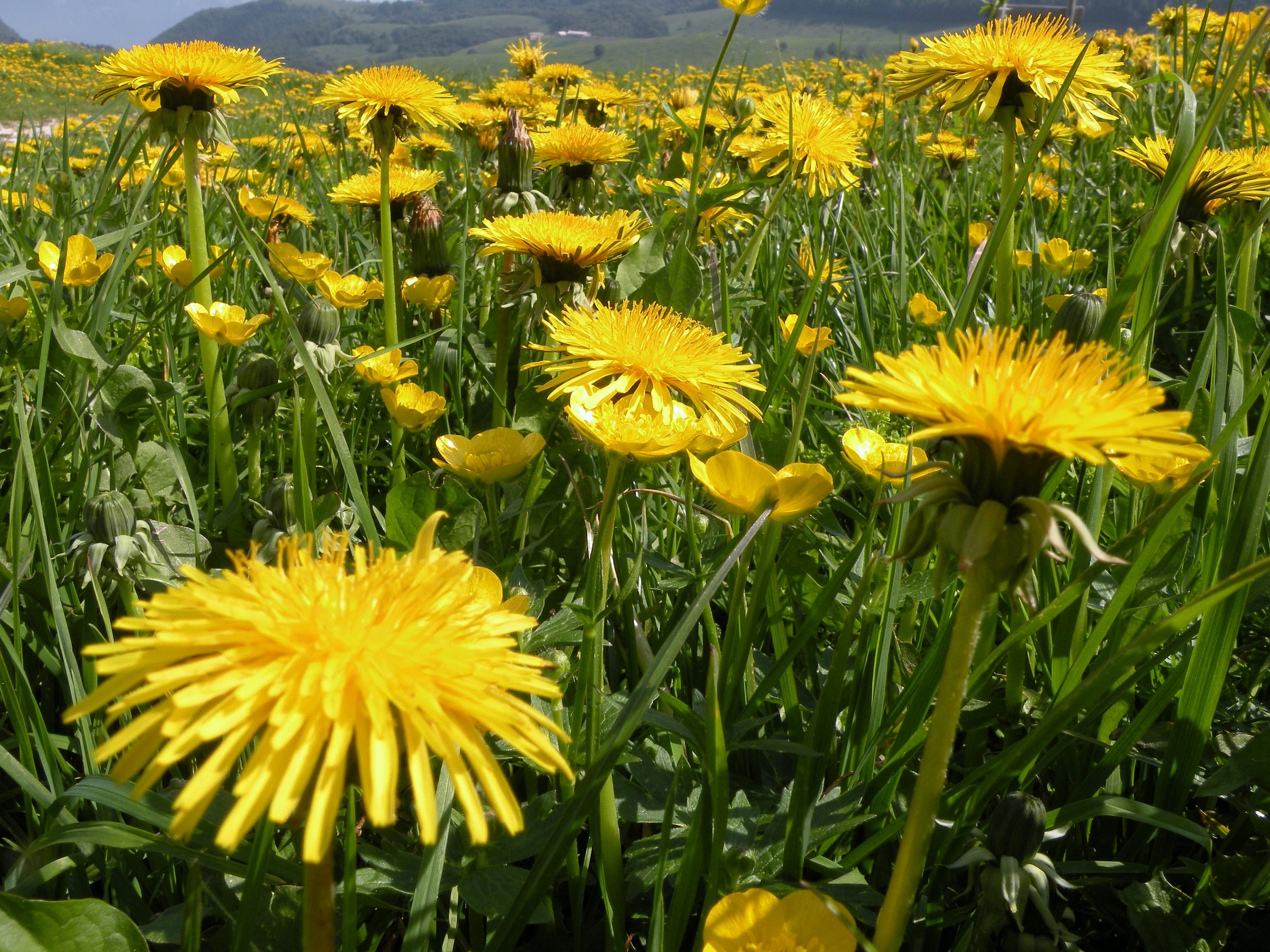 From a different point of view