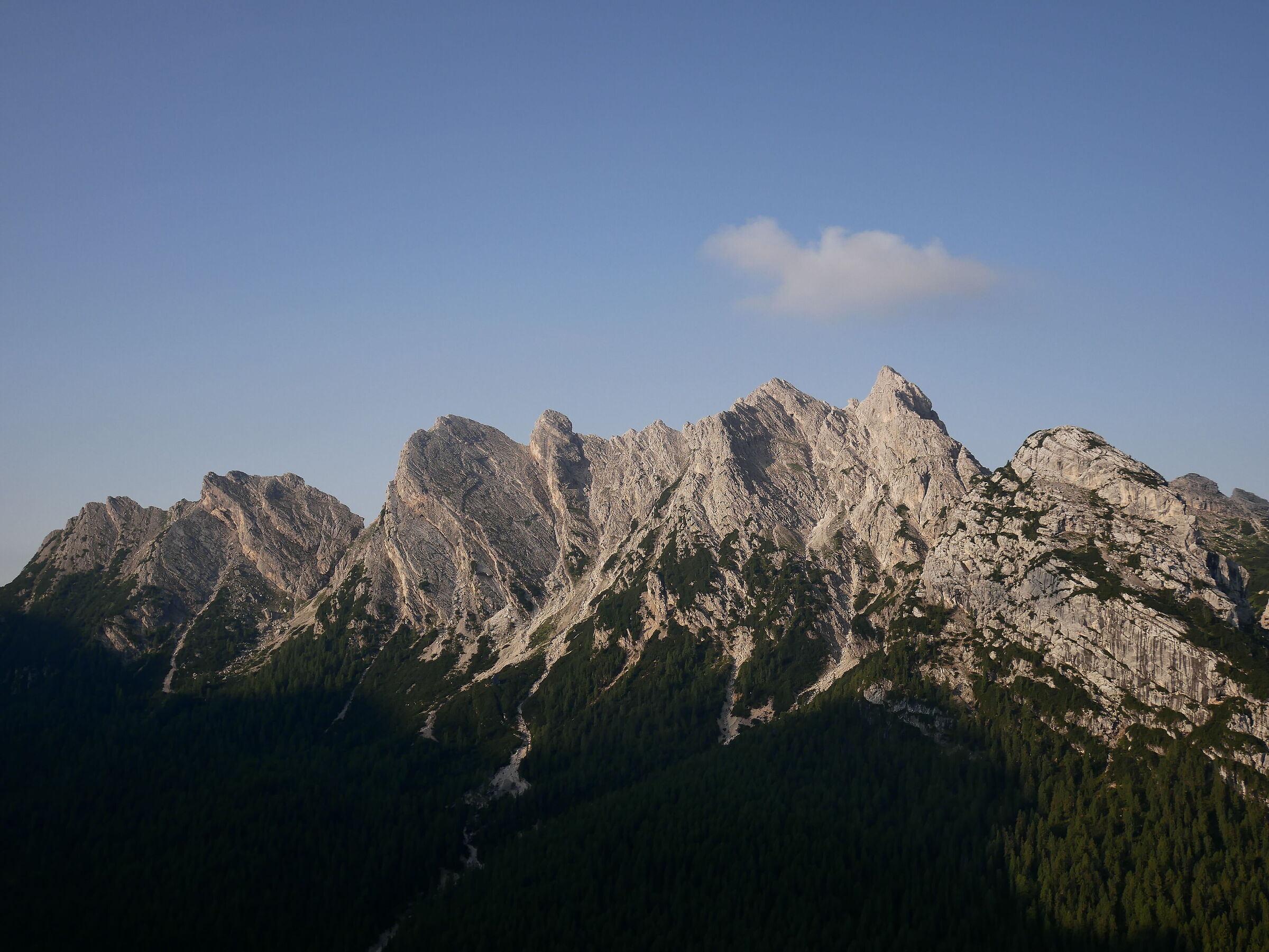 Pomagagnon
