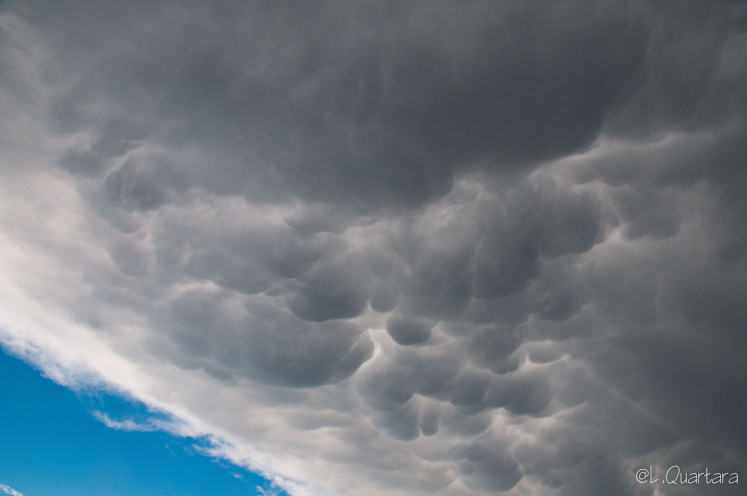 Nuvole Mammatus