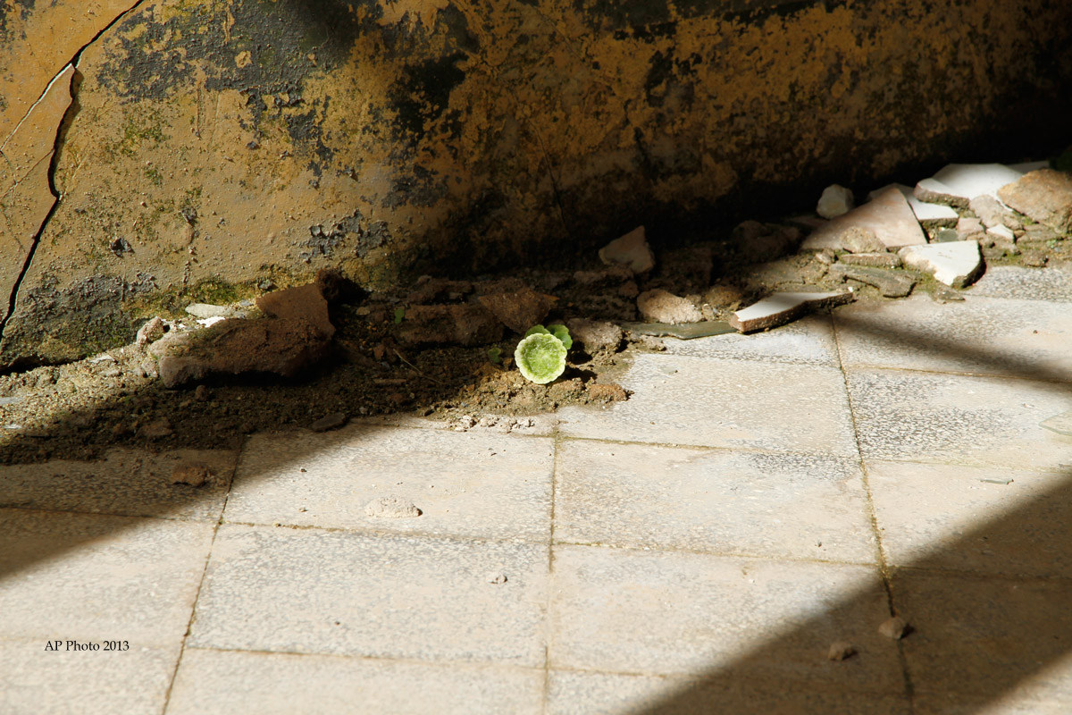 Nascita da distruzione