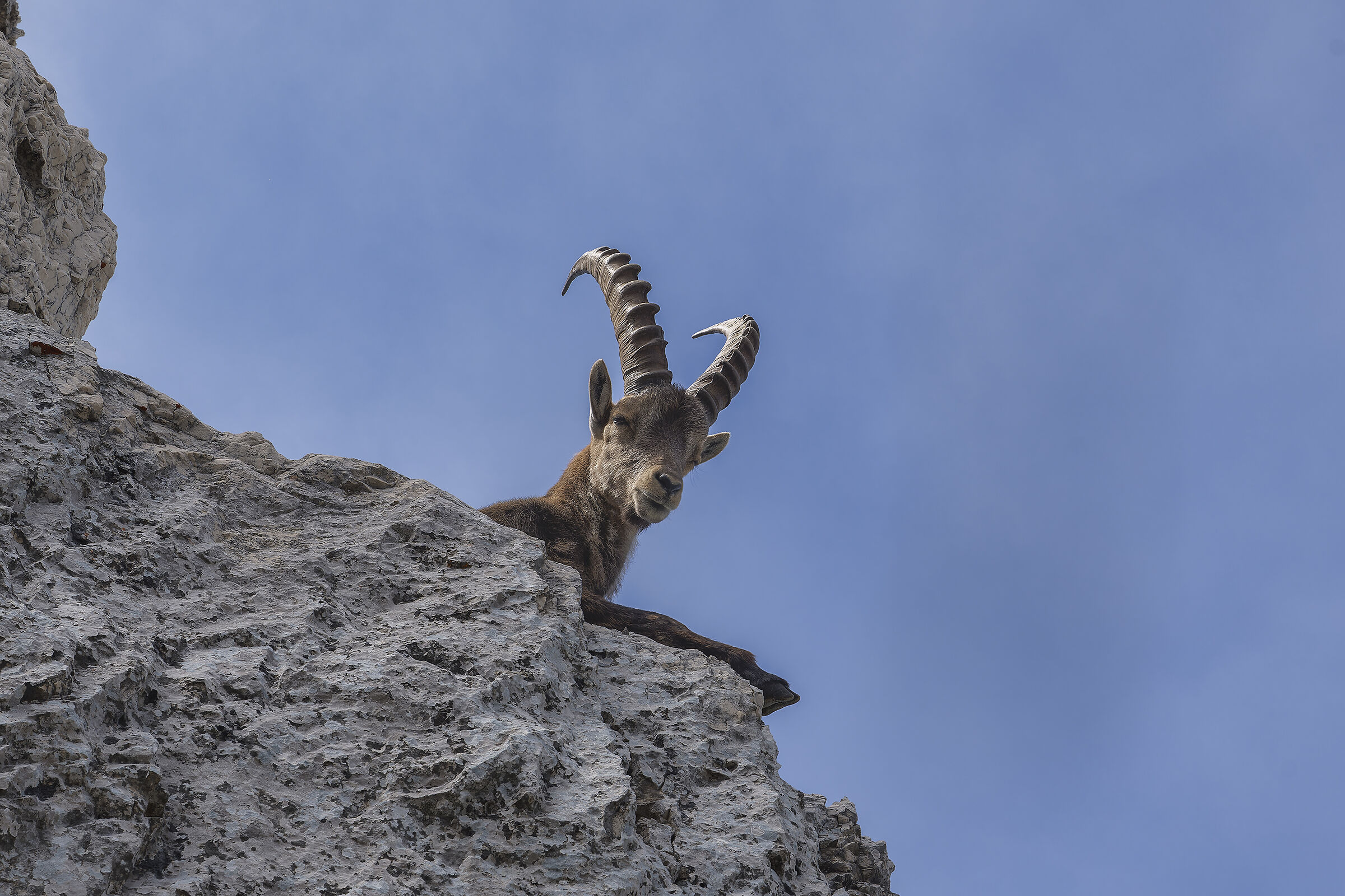 I'm keeping an eye on you