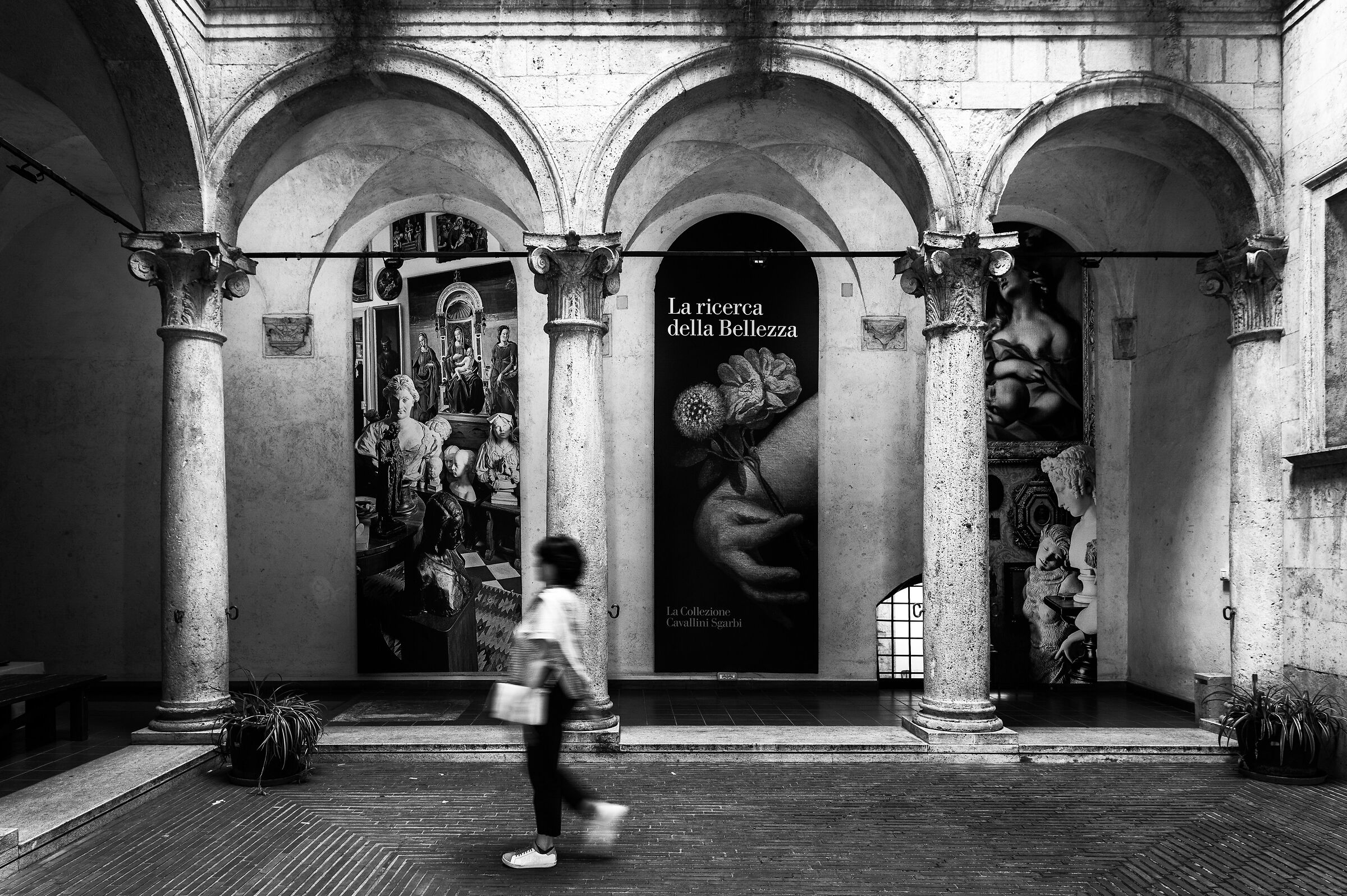 La ricerca della bellezza