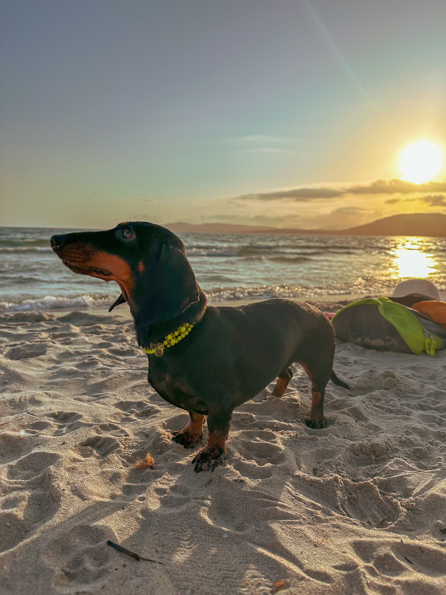 Detena Alghero spiaggia Maria pia