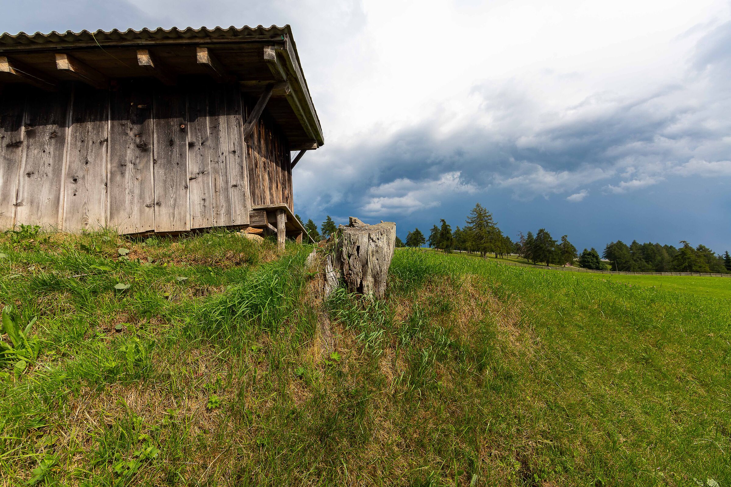 Alpine meadows waiting for the storm