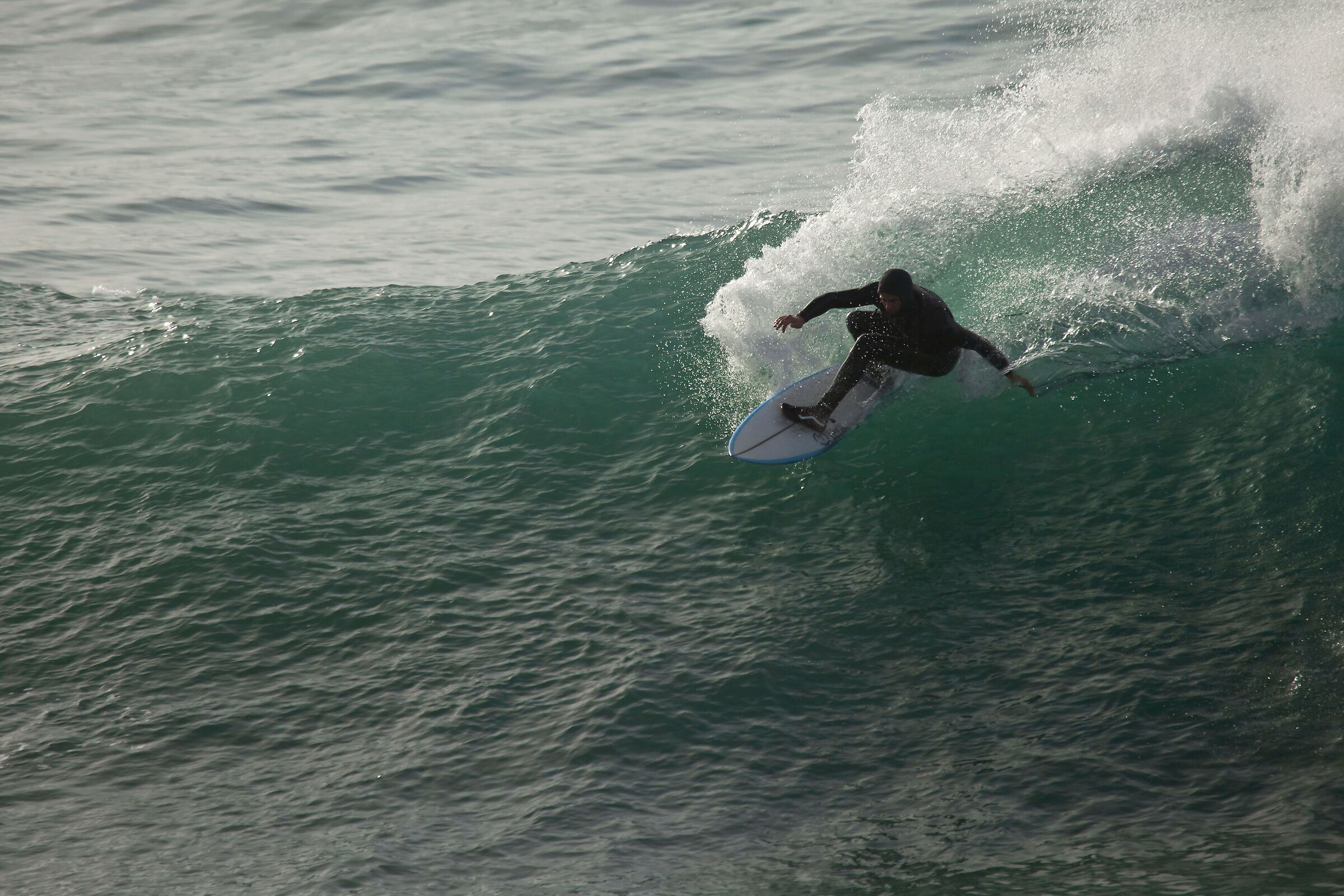 Surf
