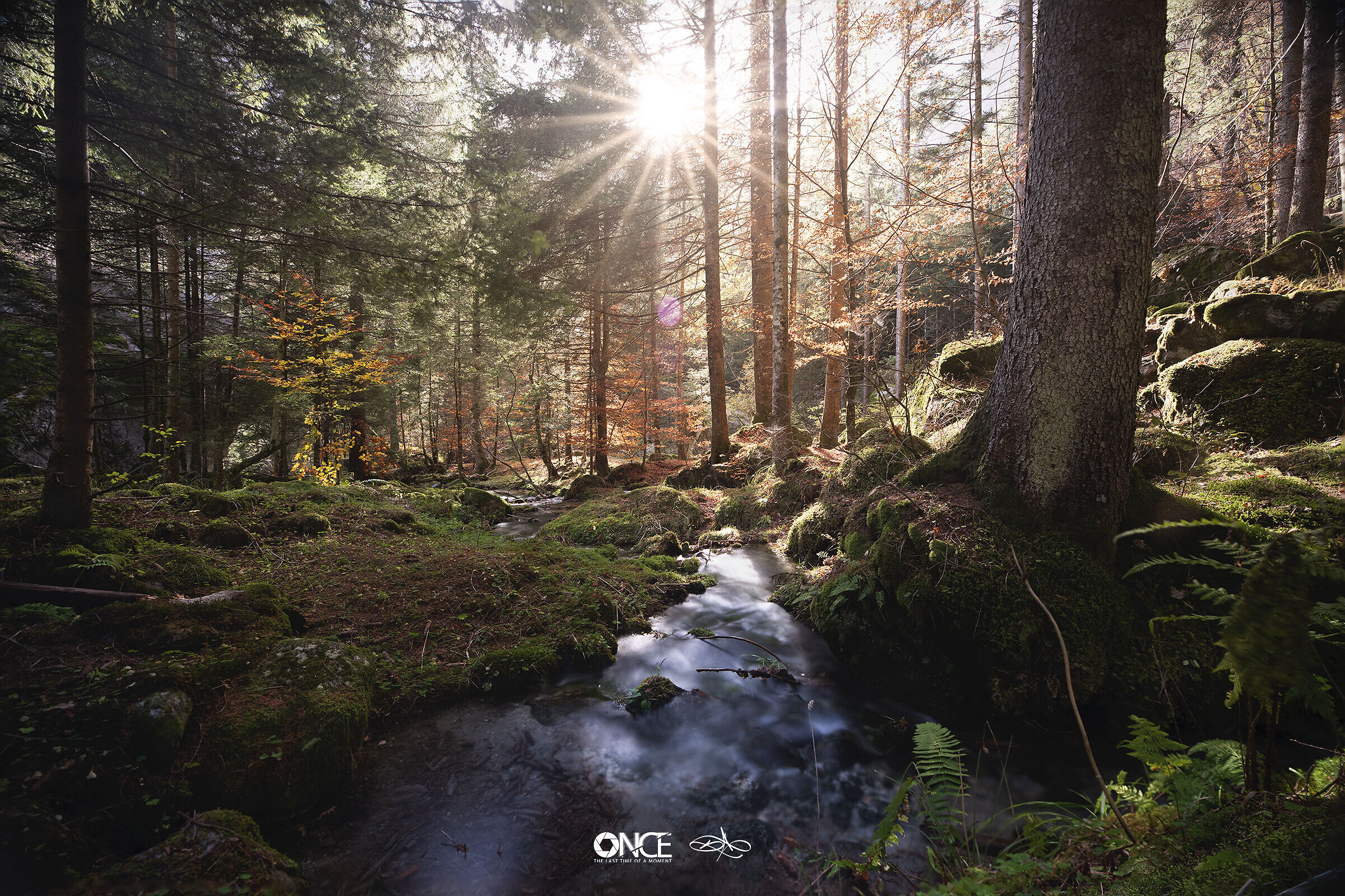 Prime ore del giorno in Val di Masino