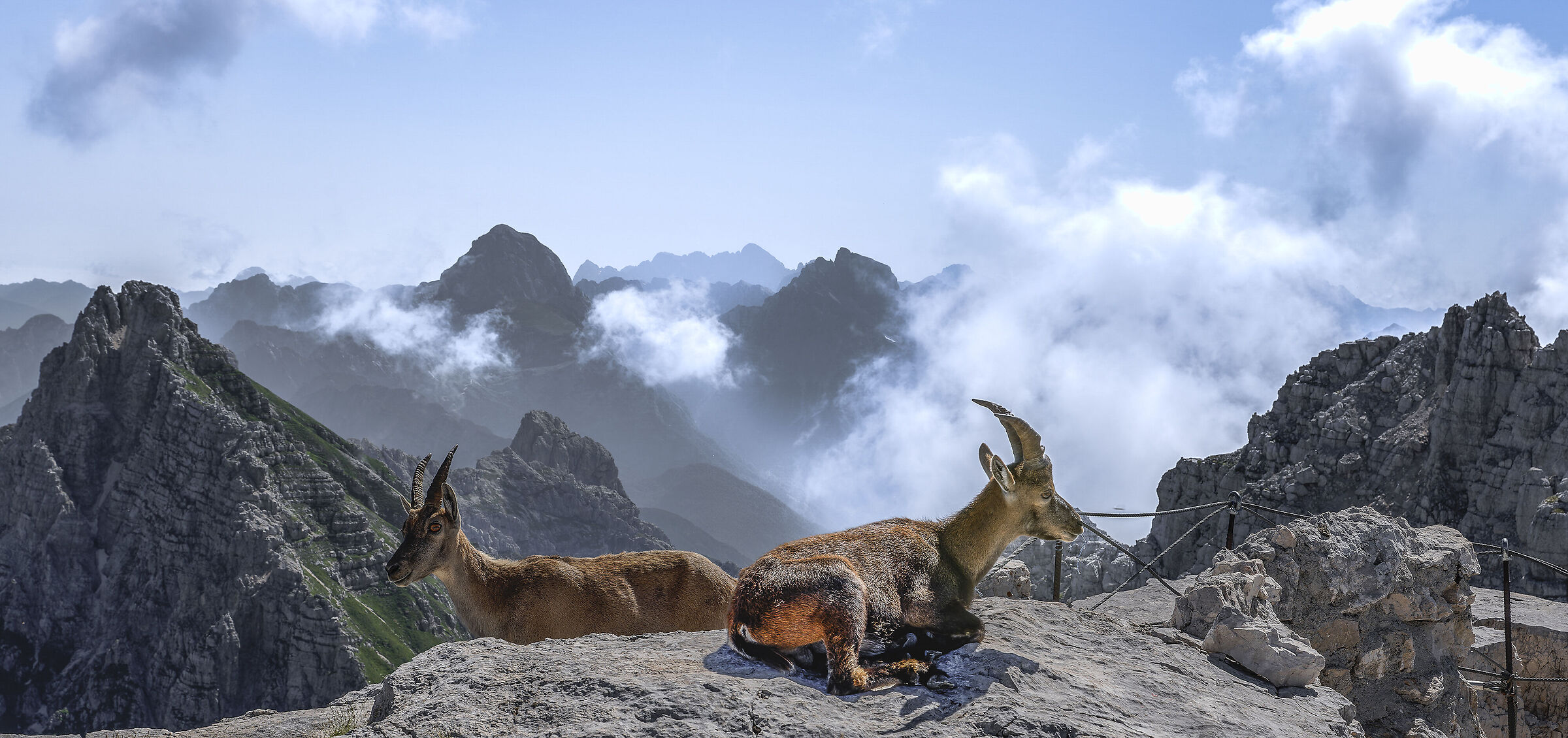 I custodi del bivacco Vuerich.alpi Giulie