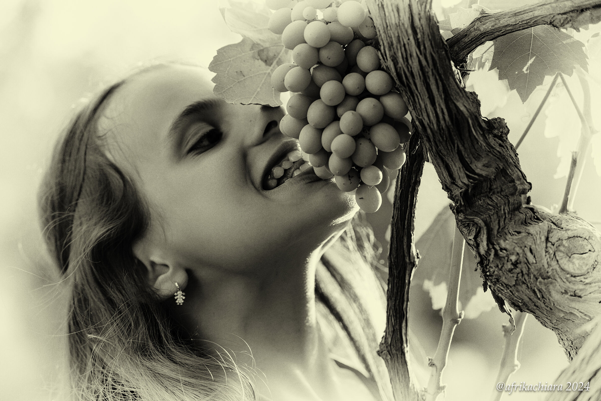 The grapes are still unripe...