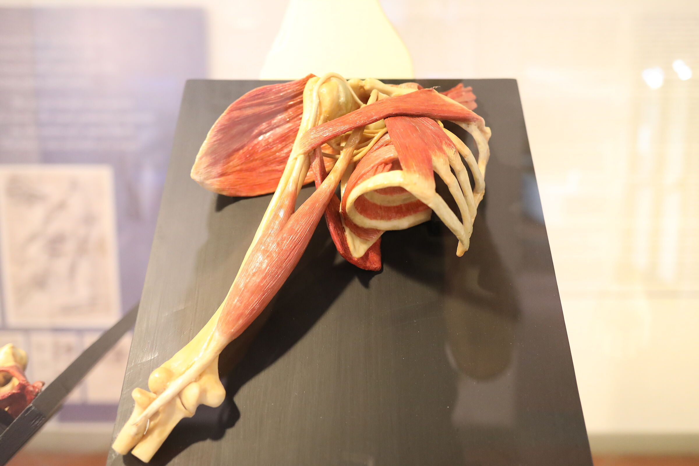 @" ISO 6 Thousand 400 ", 5 D IV, 35 F. 2 IS USM