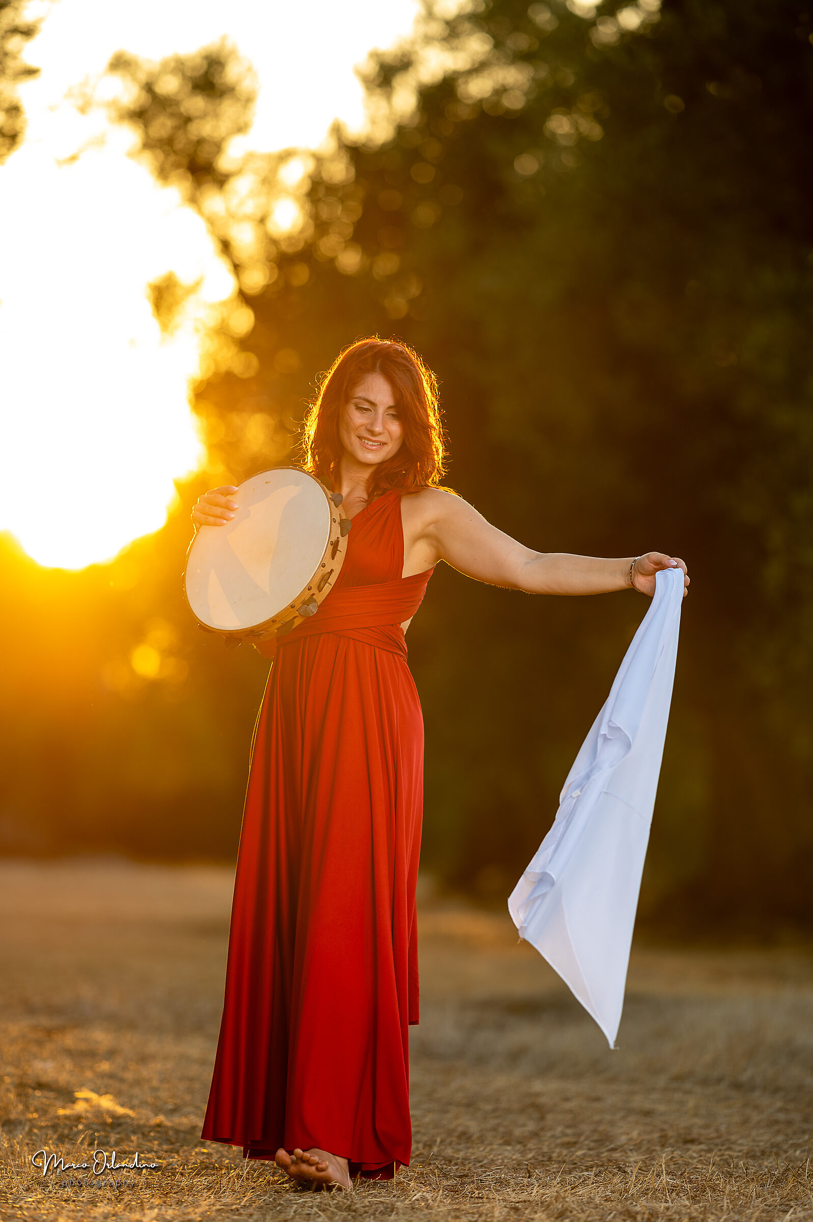 Dancing under the Olive Tree