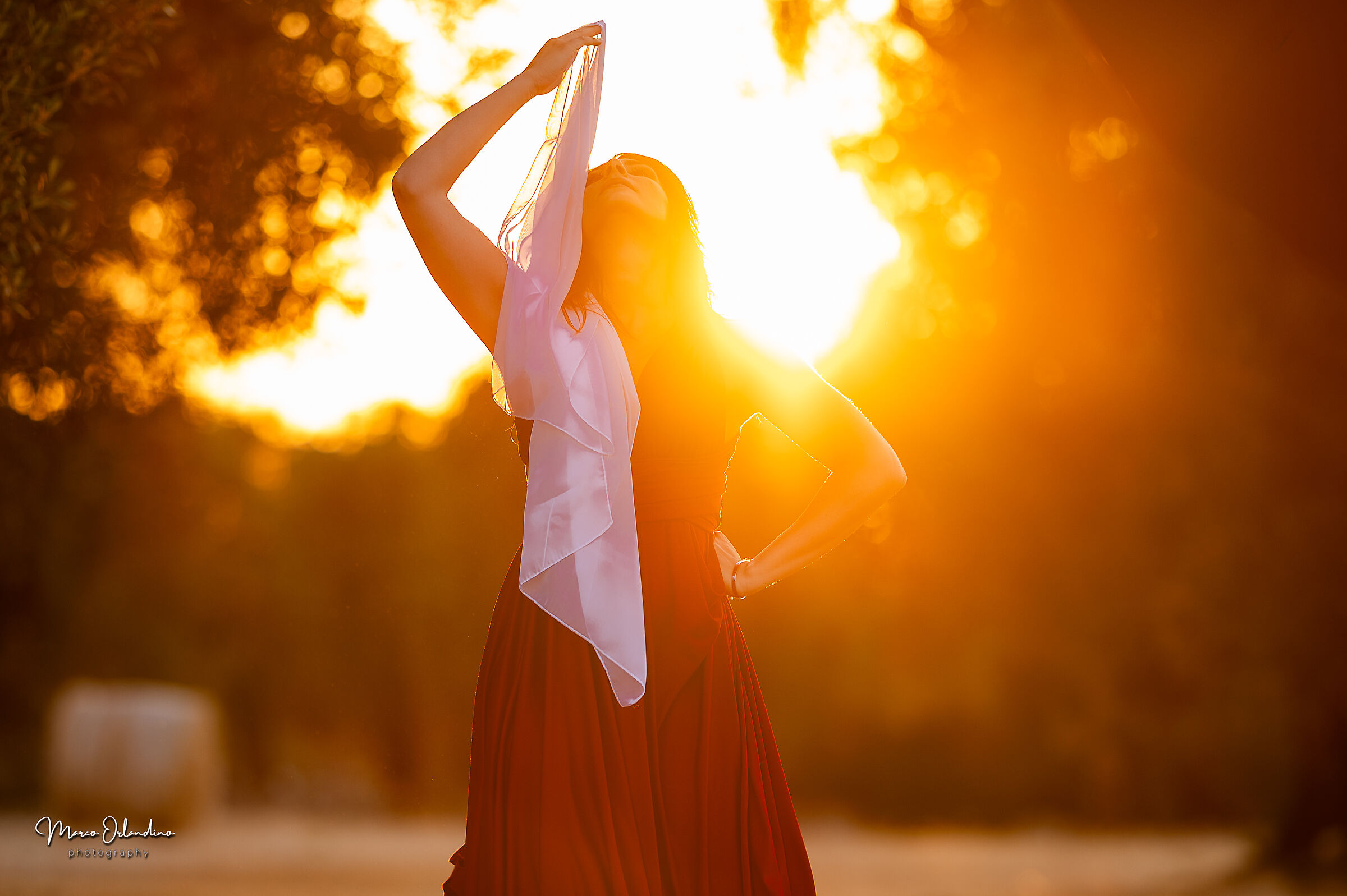Dancing under the Olive Tree