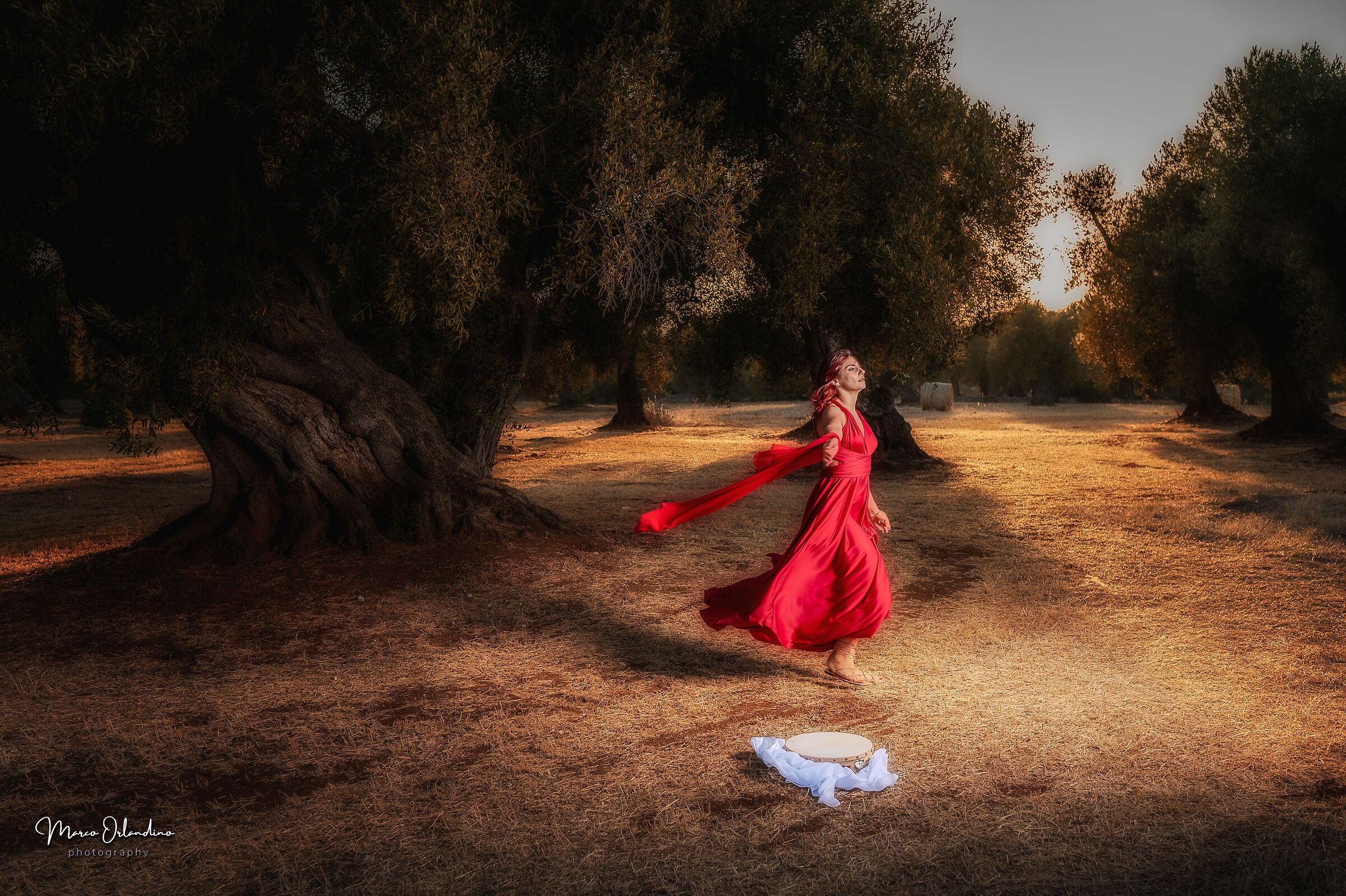 Dancing under the Olive Tree