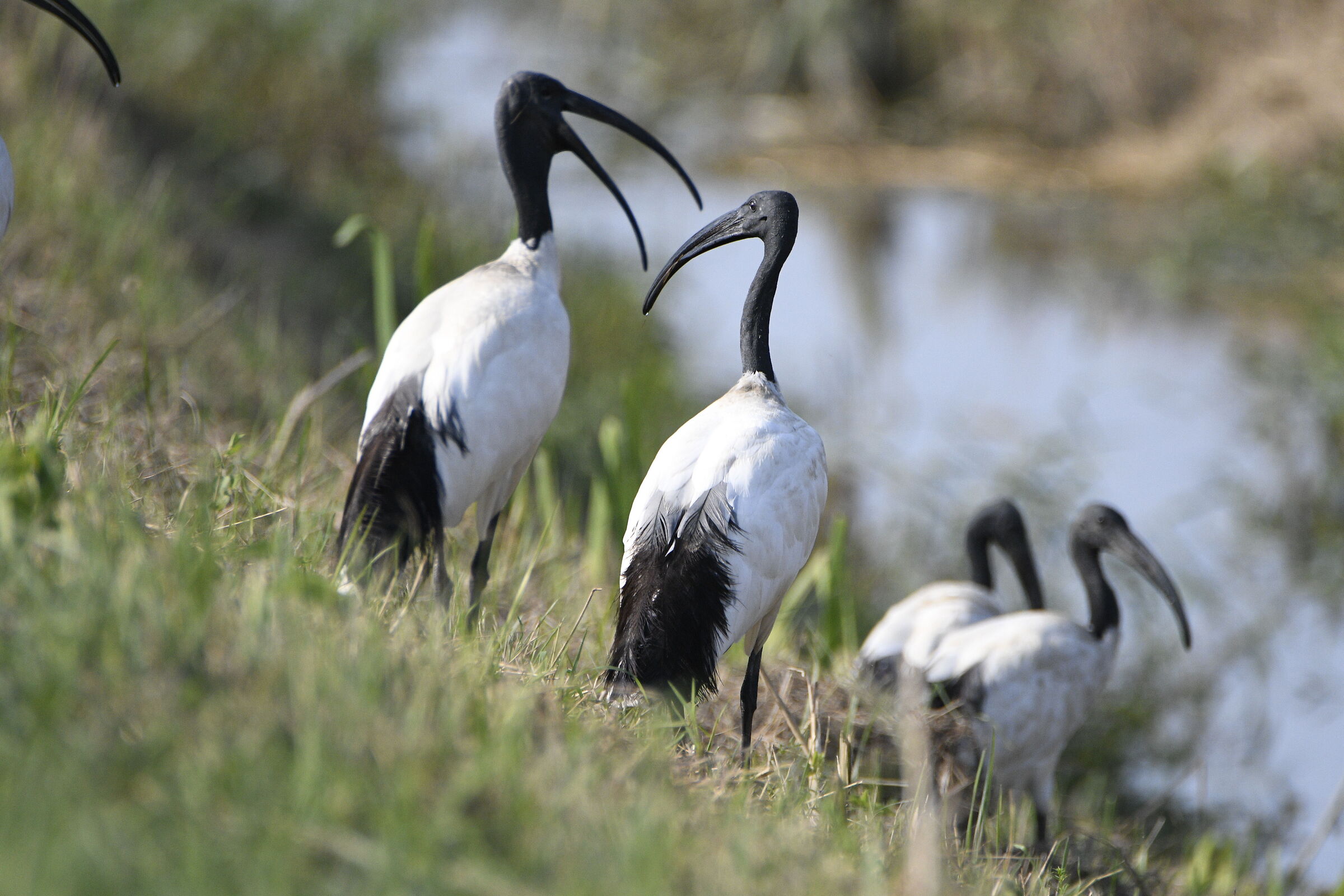 riunione di condominio