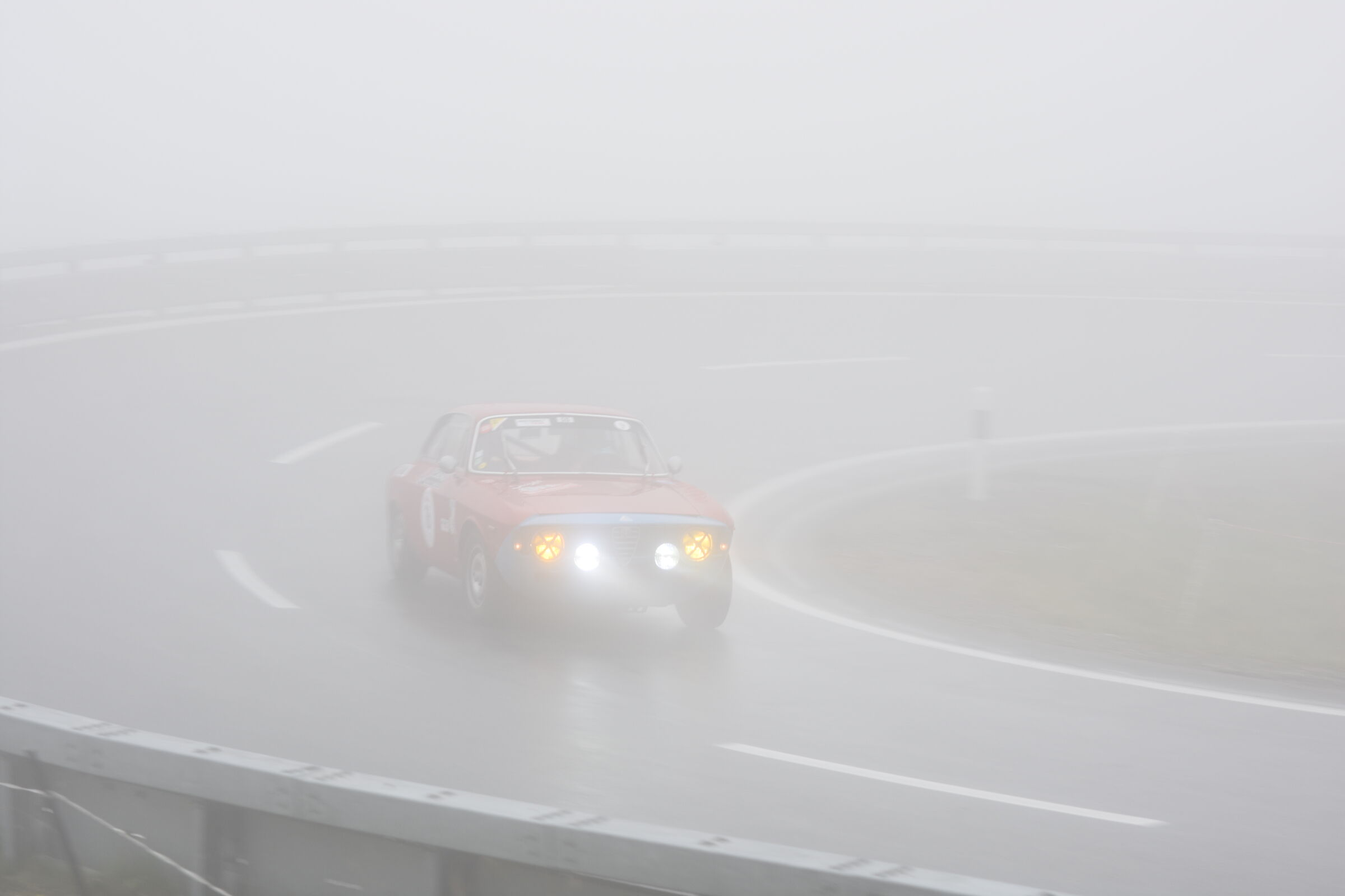 Light in The Fog