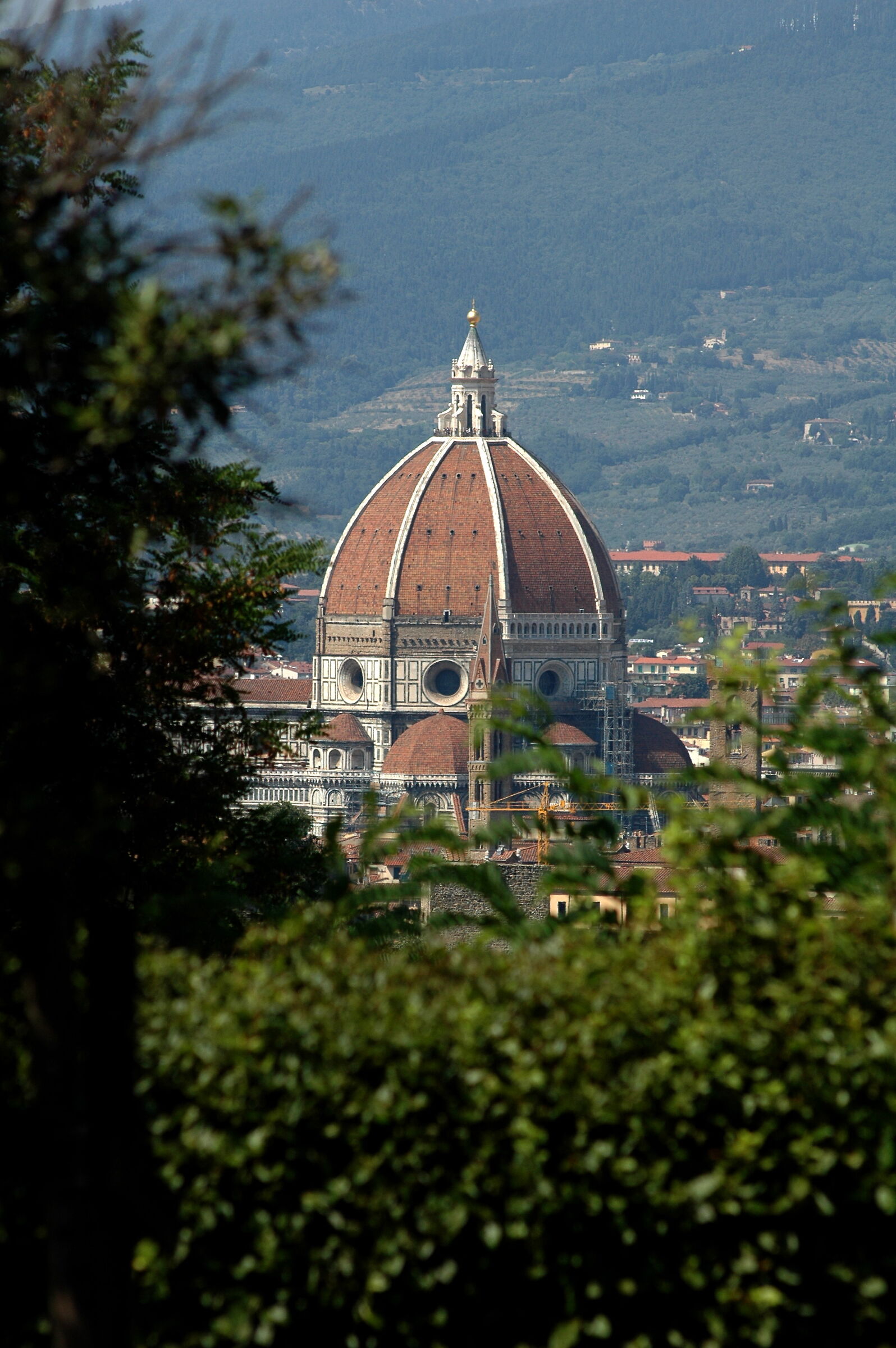Green Florence