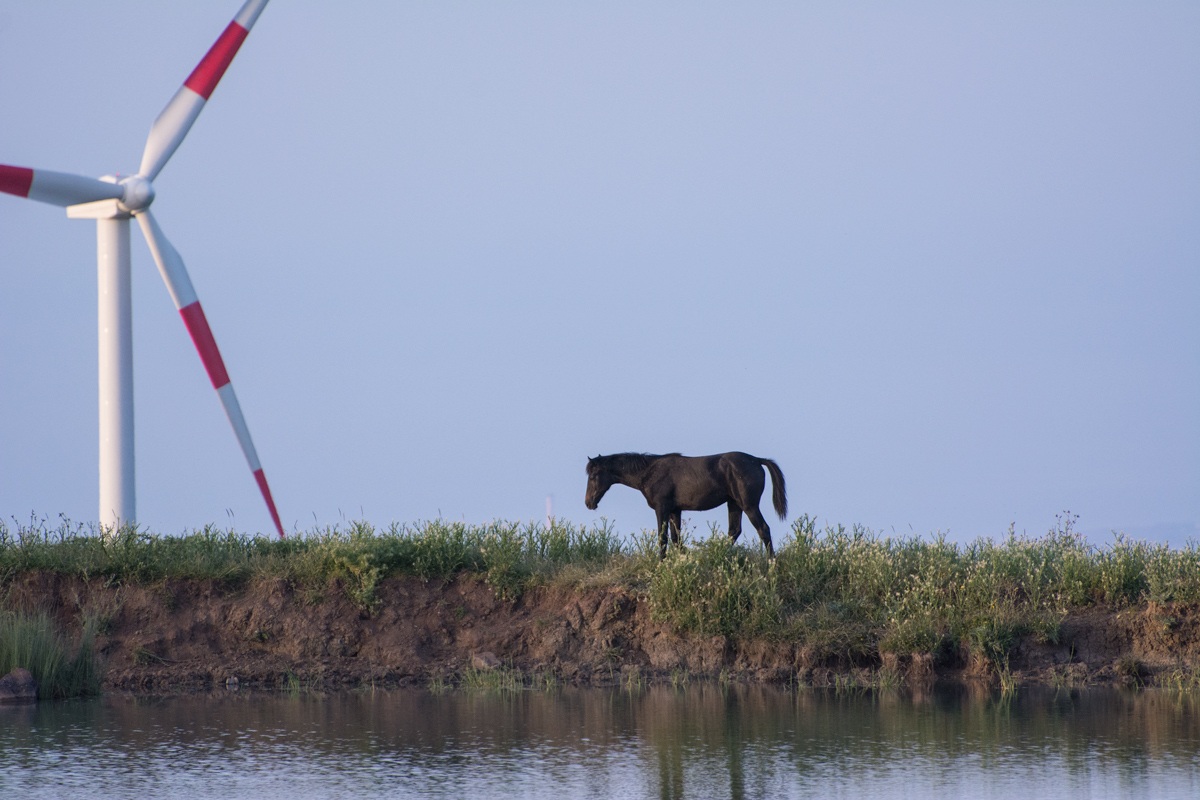 Natura e monnezza umana