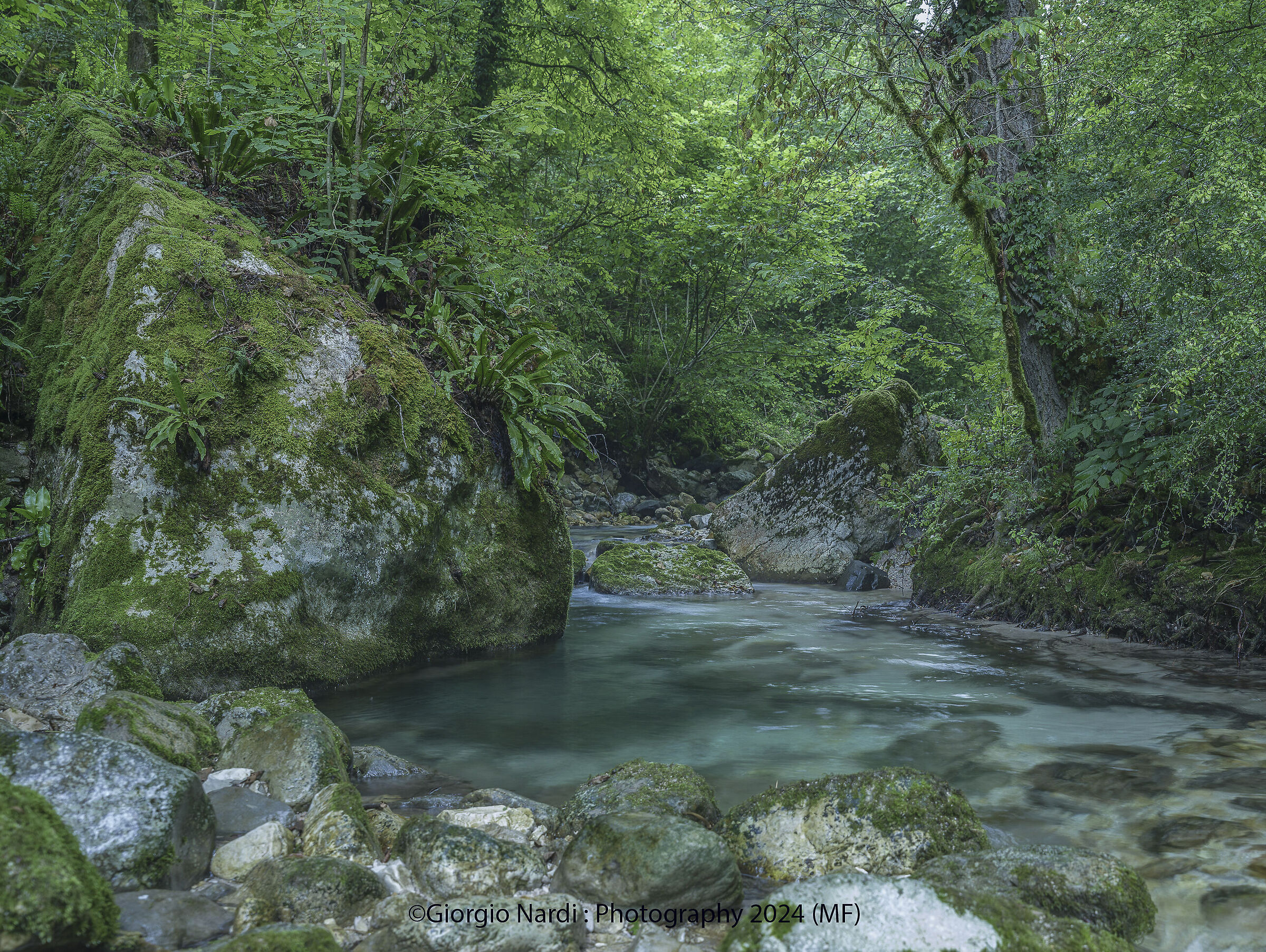 Ambienti fluviali dei piccoli torrenti prealpini
